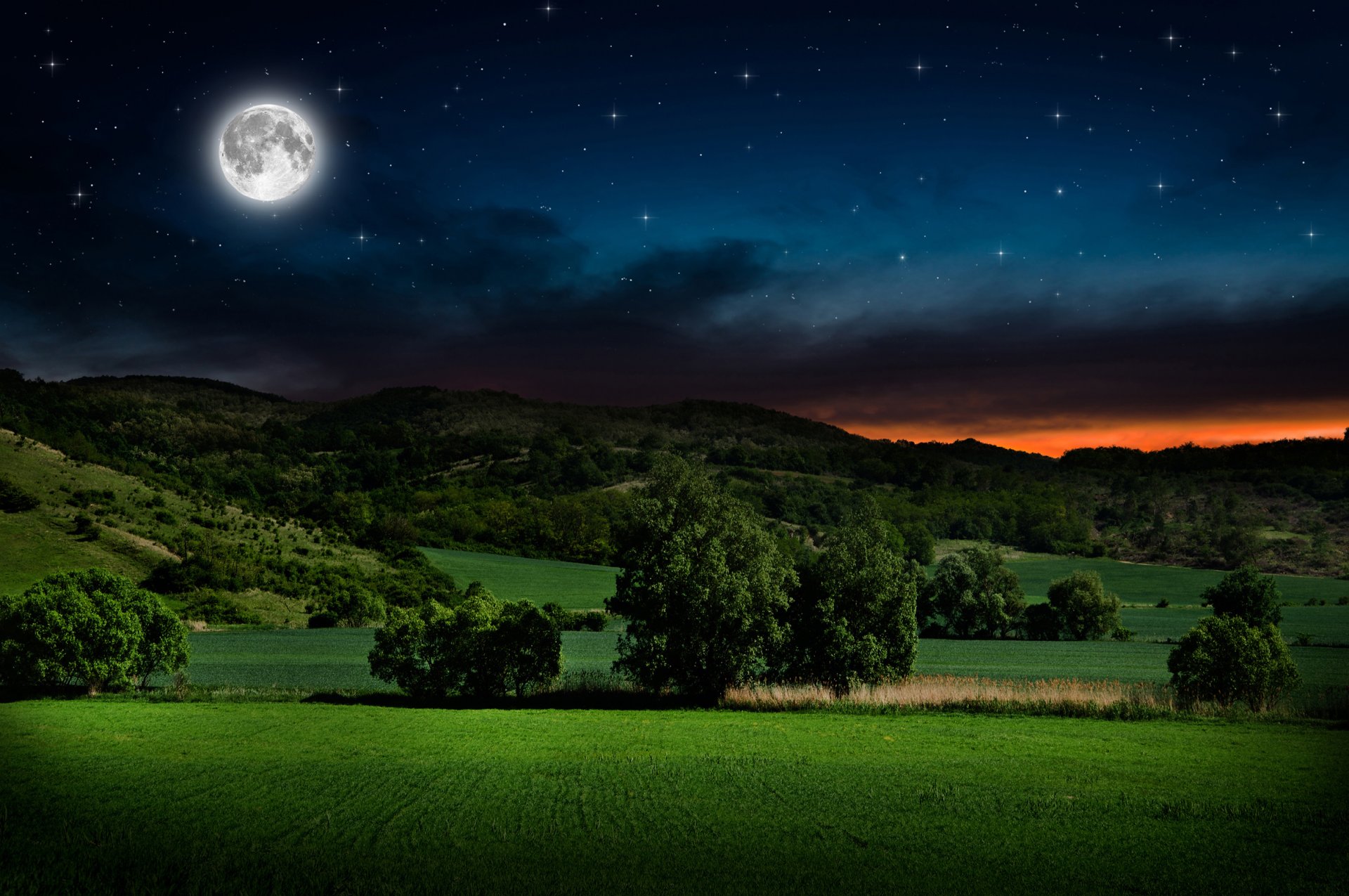 paesaggio notte luna stelle bagliore colline arbusti alberi serenità viaggi il mio pianeta bokeh sfondi