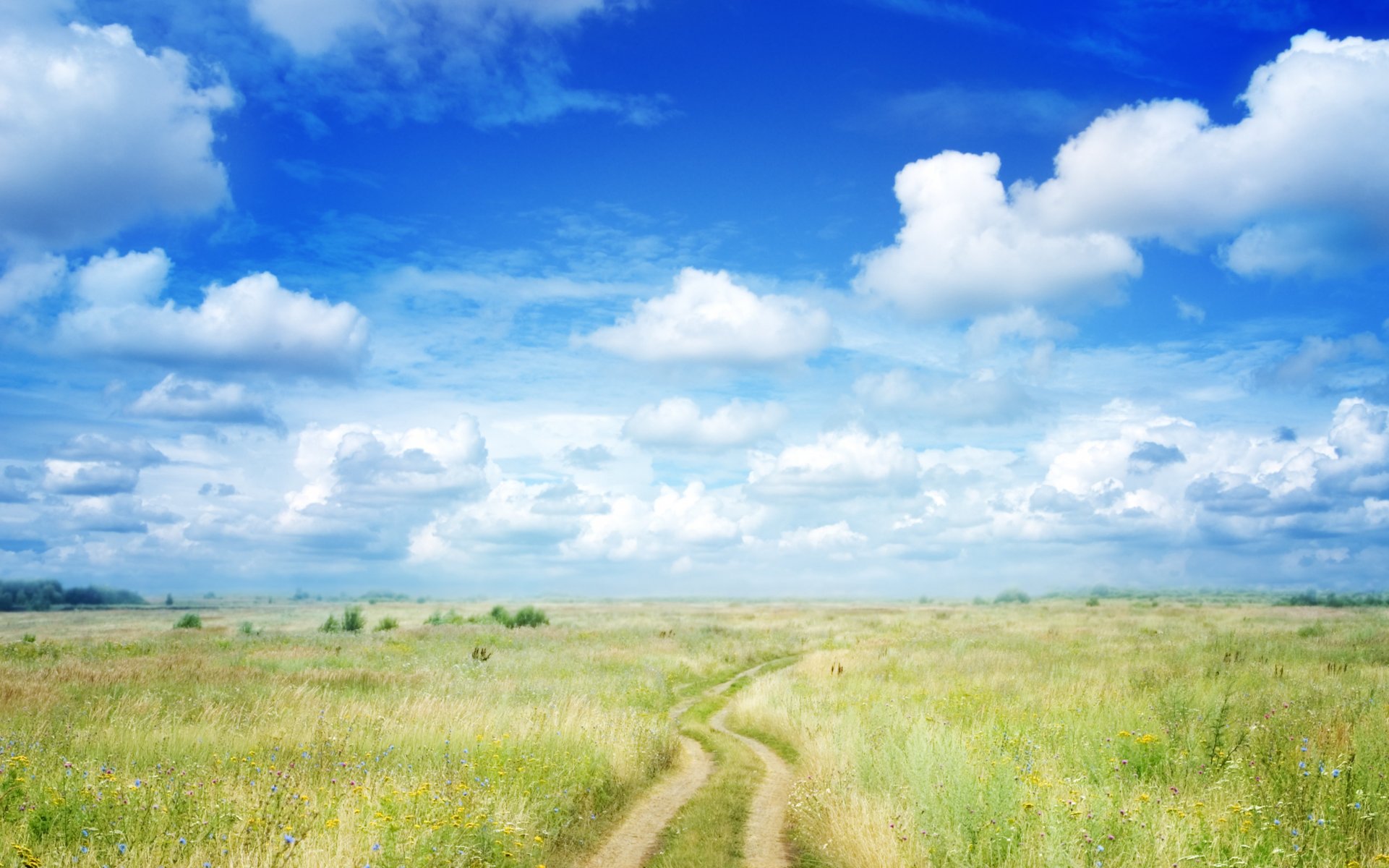 landscape nature sky clouds the field track