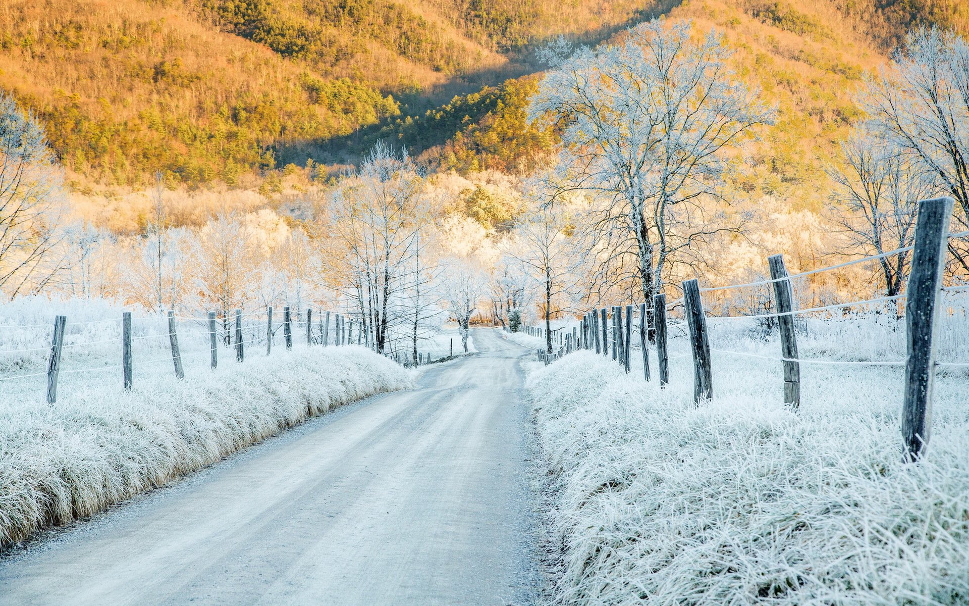 szron od mrozu zimno góry cades cove tennessee droga ogrodzenie