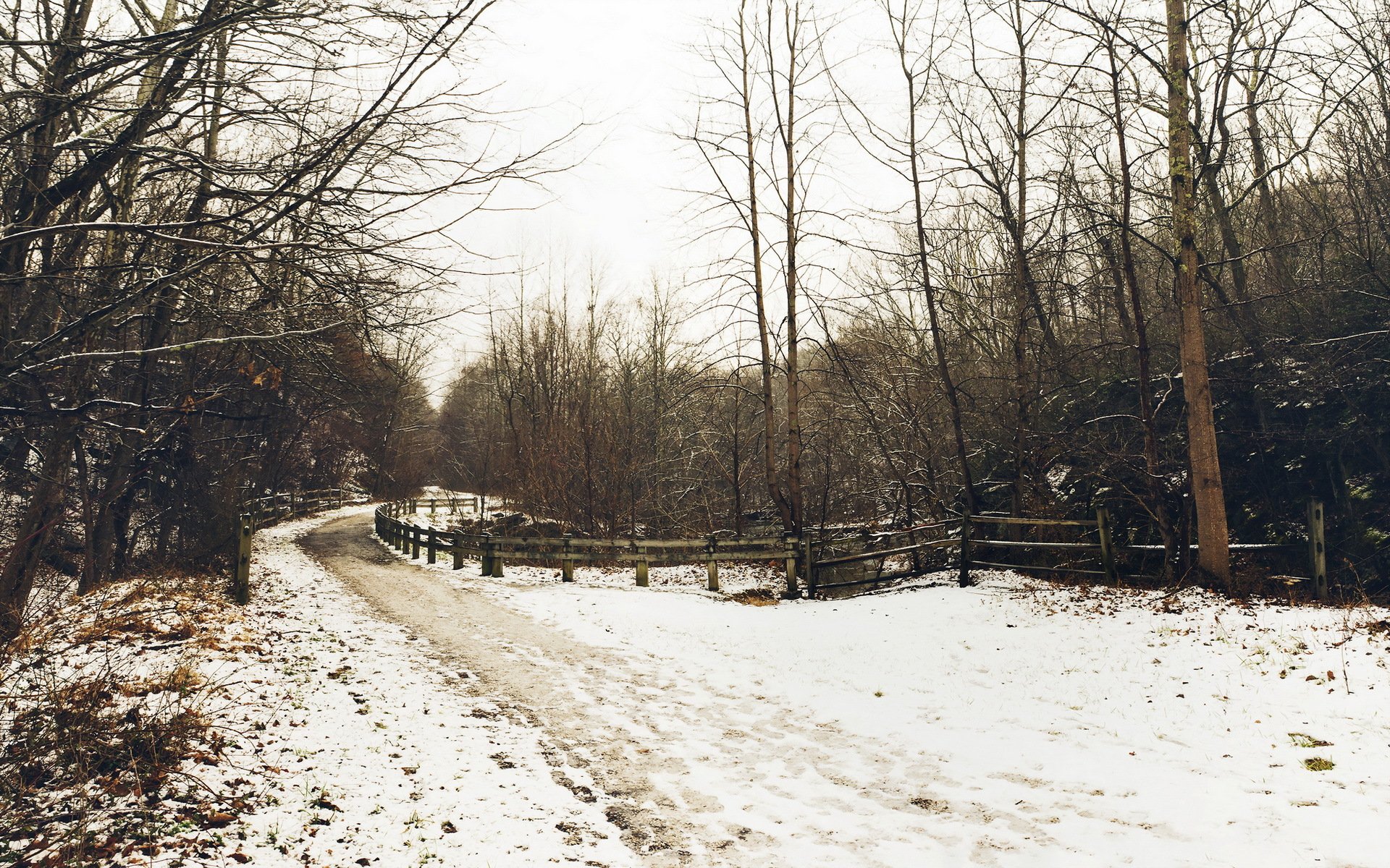 hiver route clôture paysage