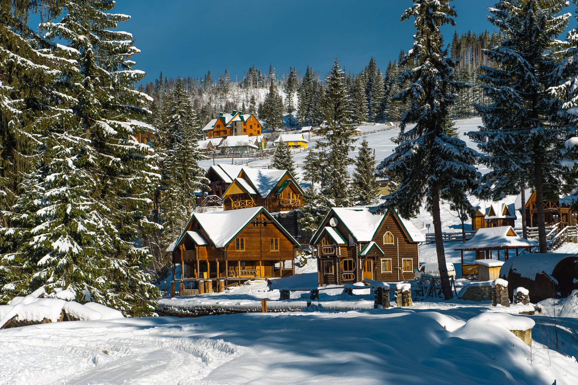 ucrania cárpatos bosque árboles abetos pueblo casa invierno nieve sol