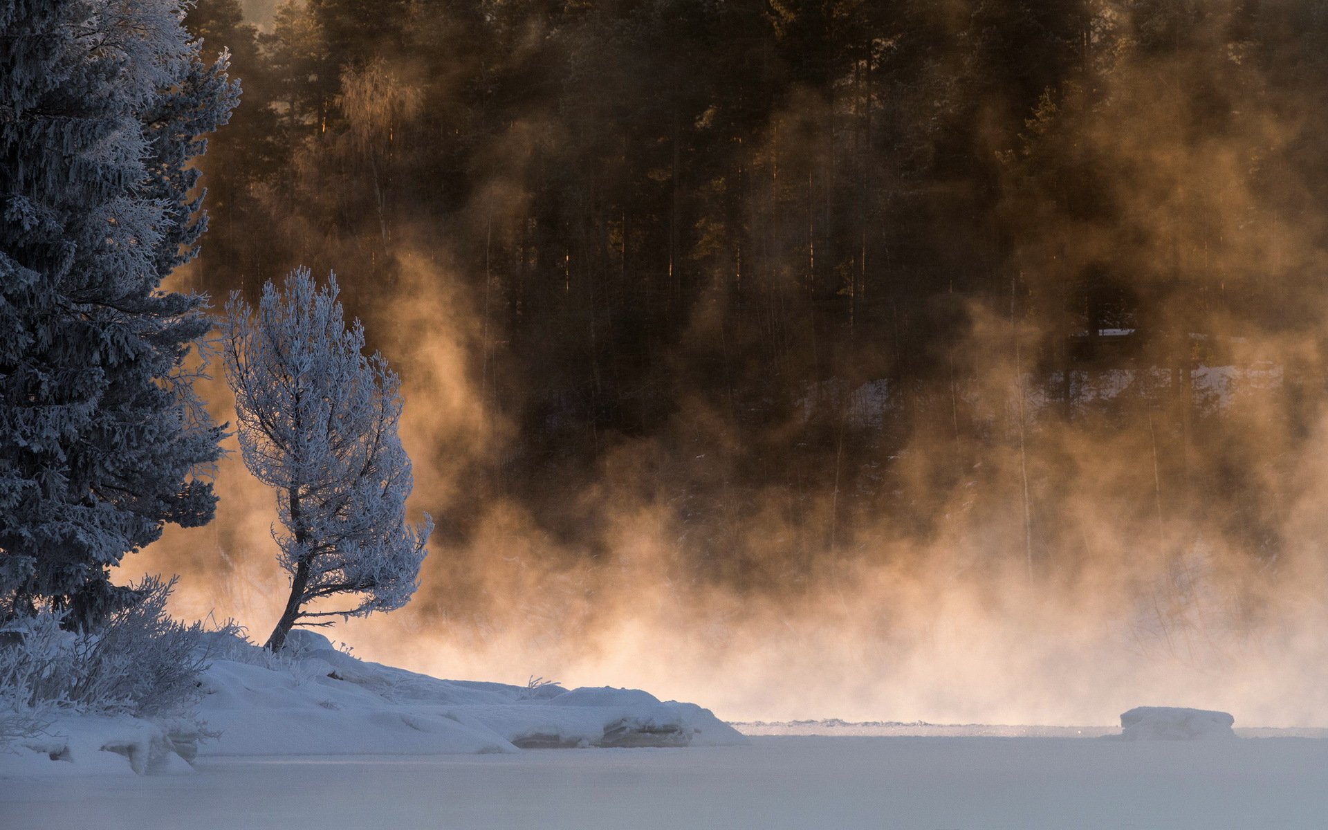 morning lake fog snow