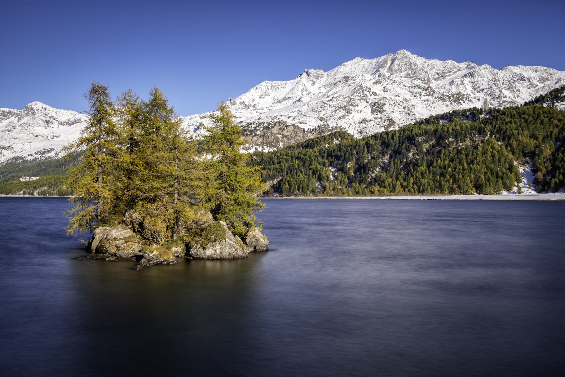 lago sils alta engadina suiza lago isla árboles montañas nieve