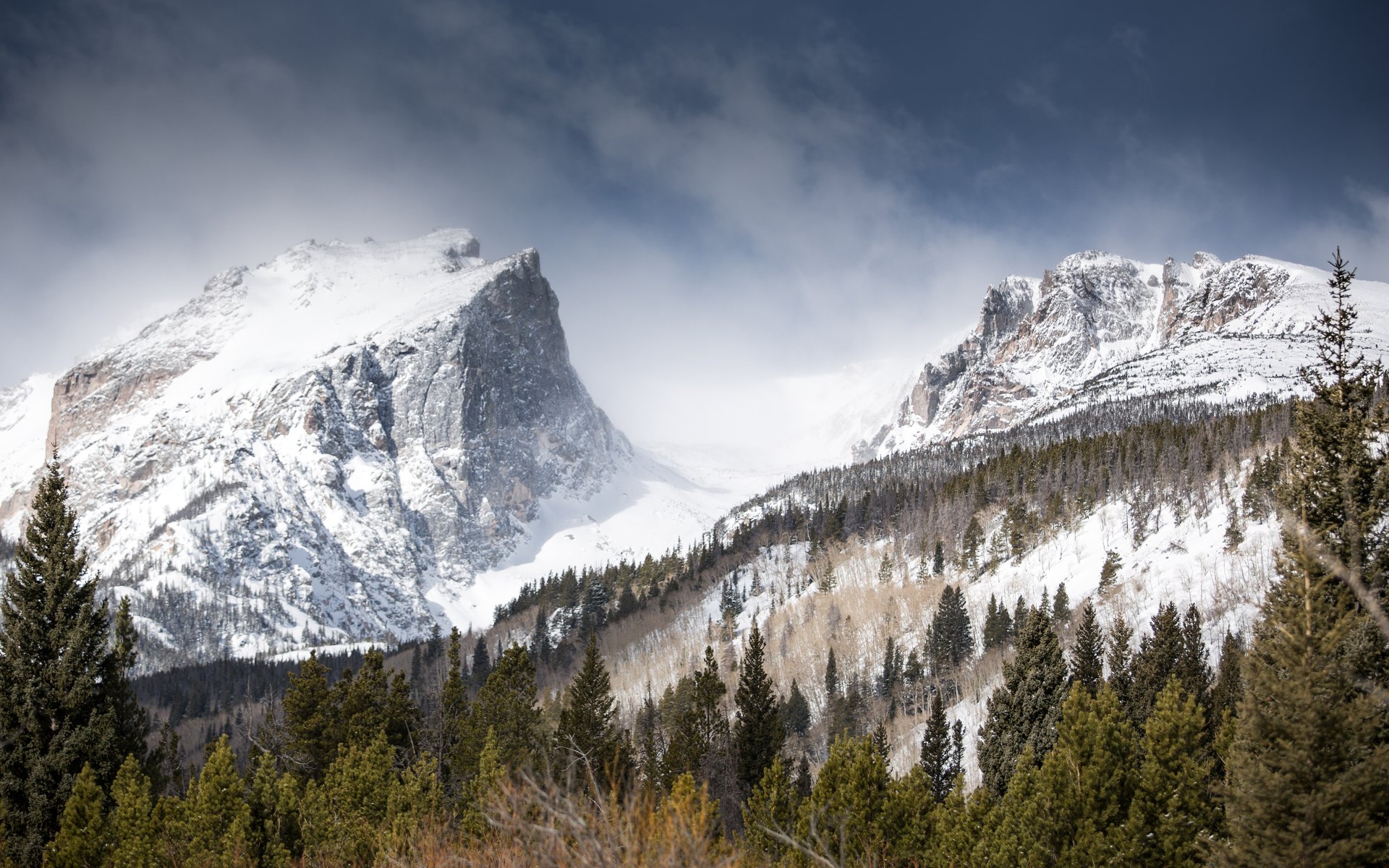 hallett peak montagna inverno neve foresta natura