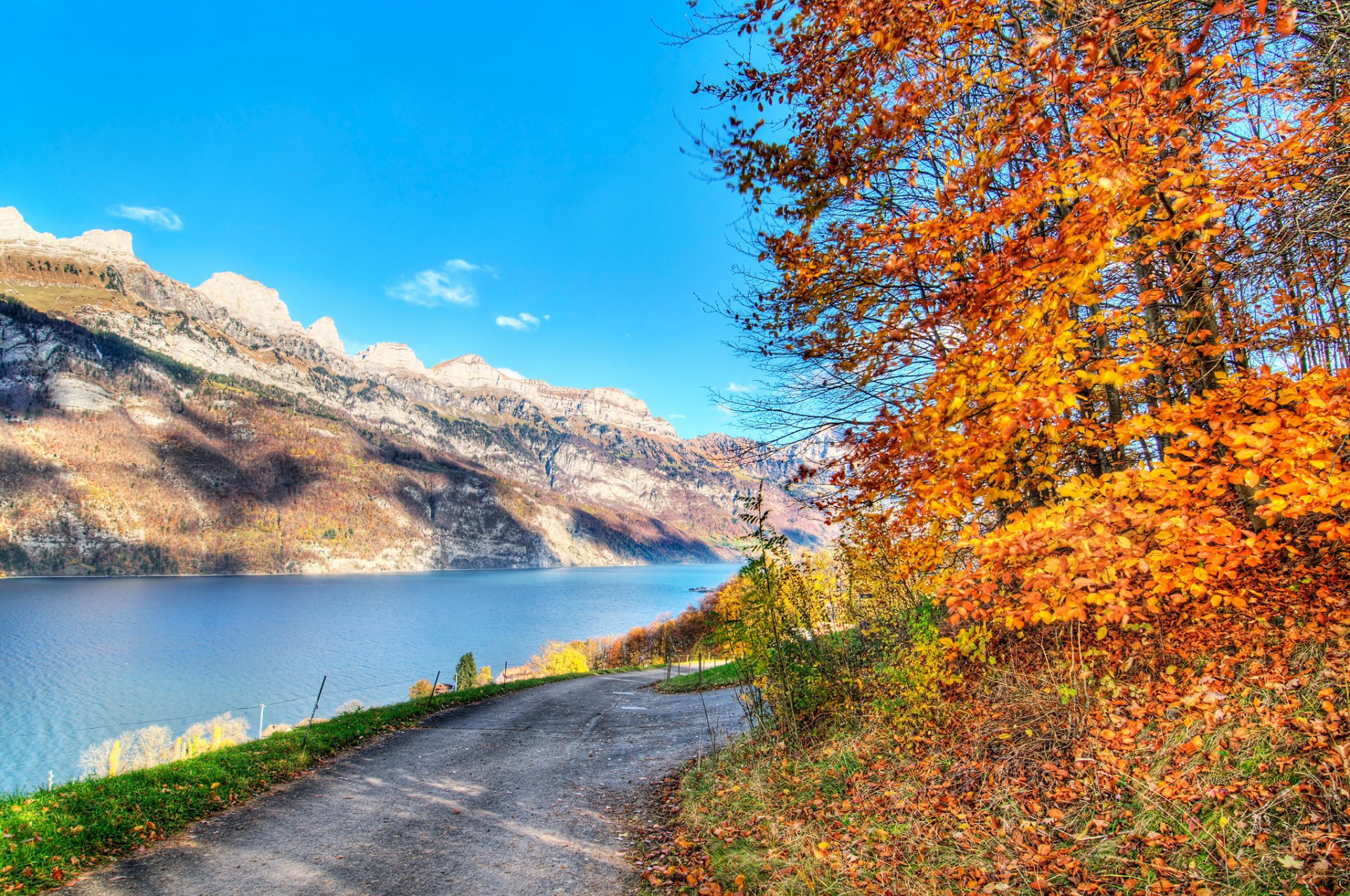 ciel montagnes lac route arbres feuilles automne