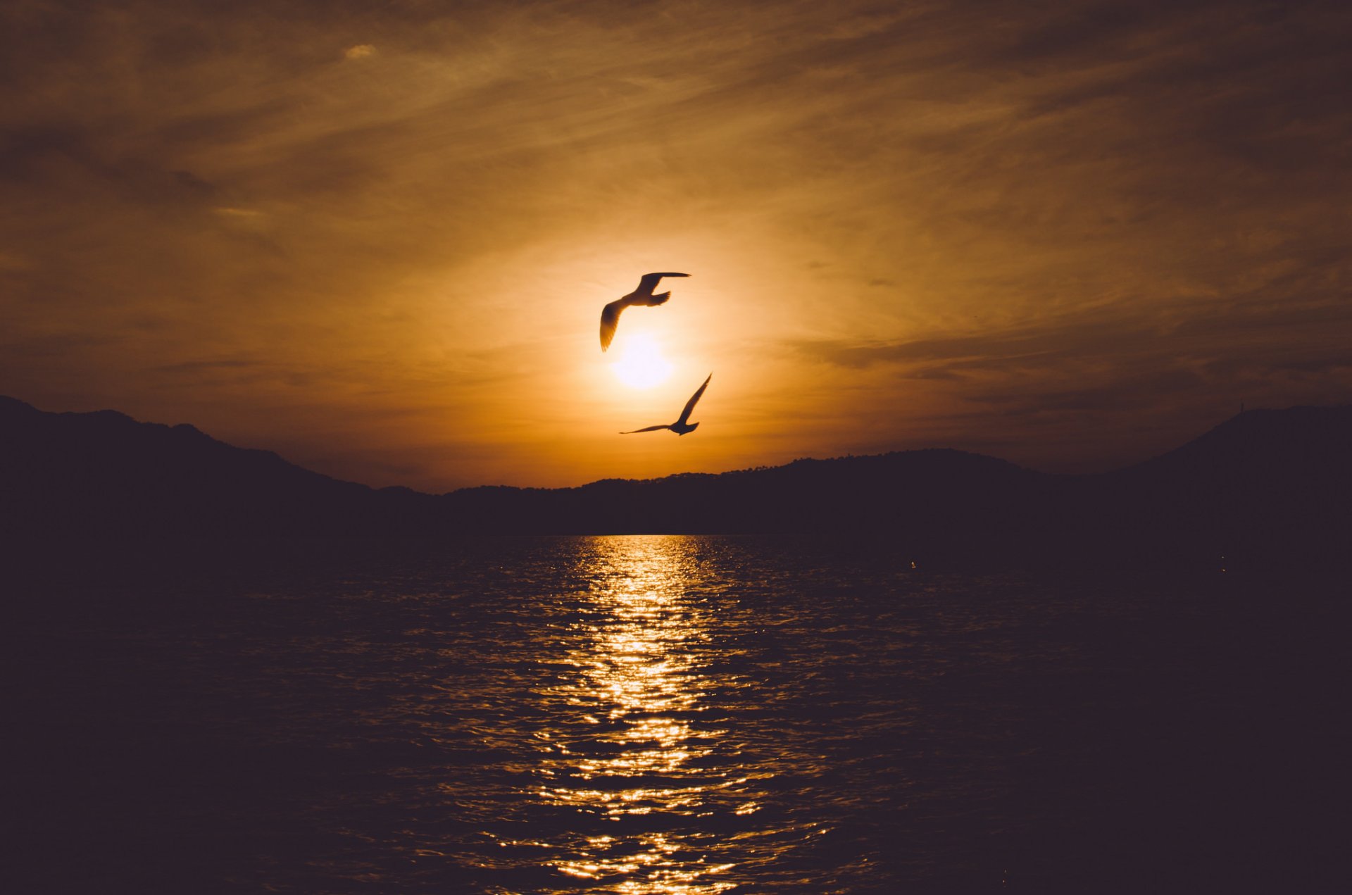 landscape sea water birds sunset sky