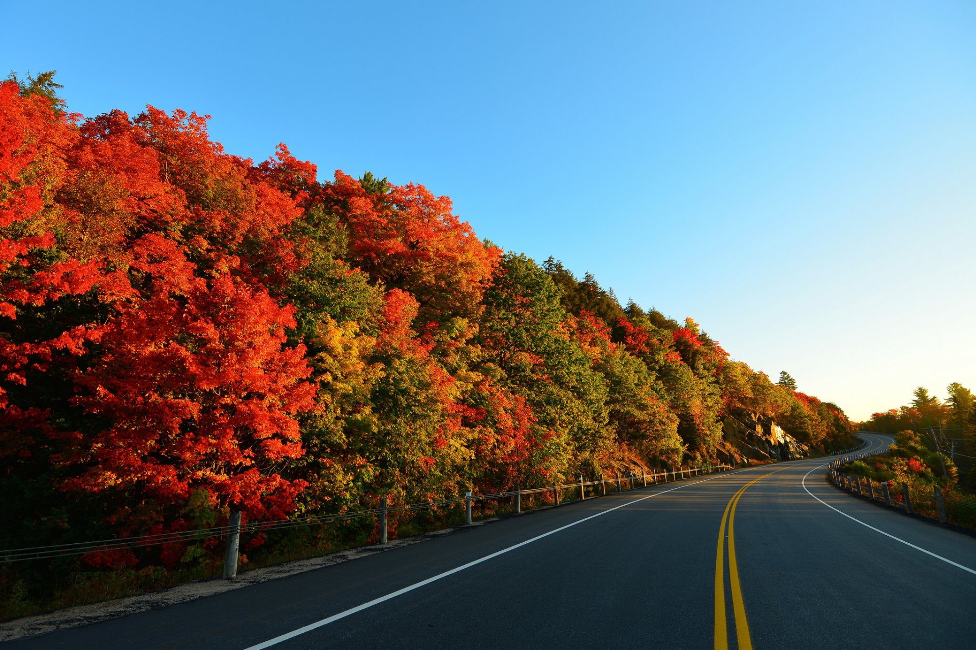 himmel bäume straße herbst