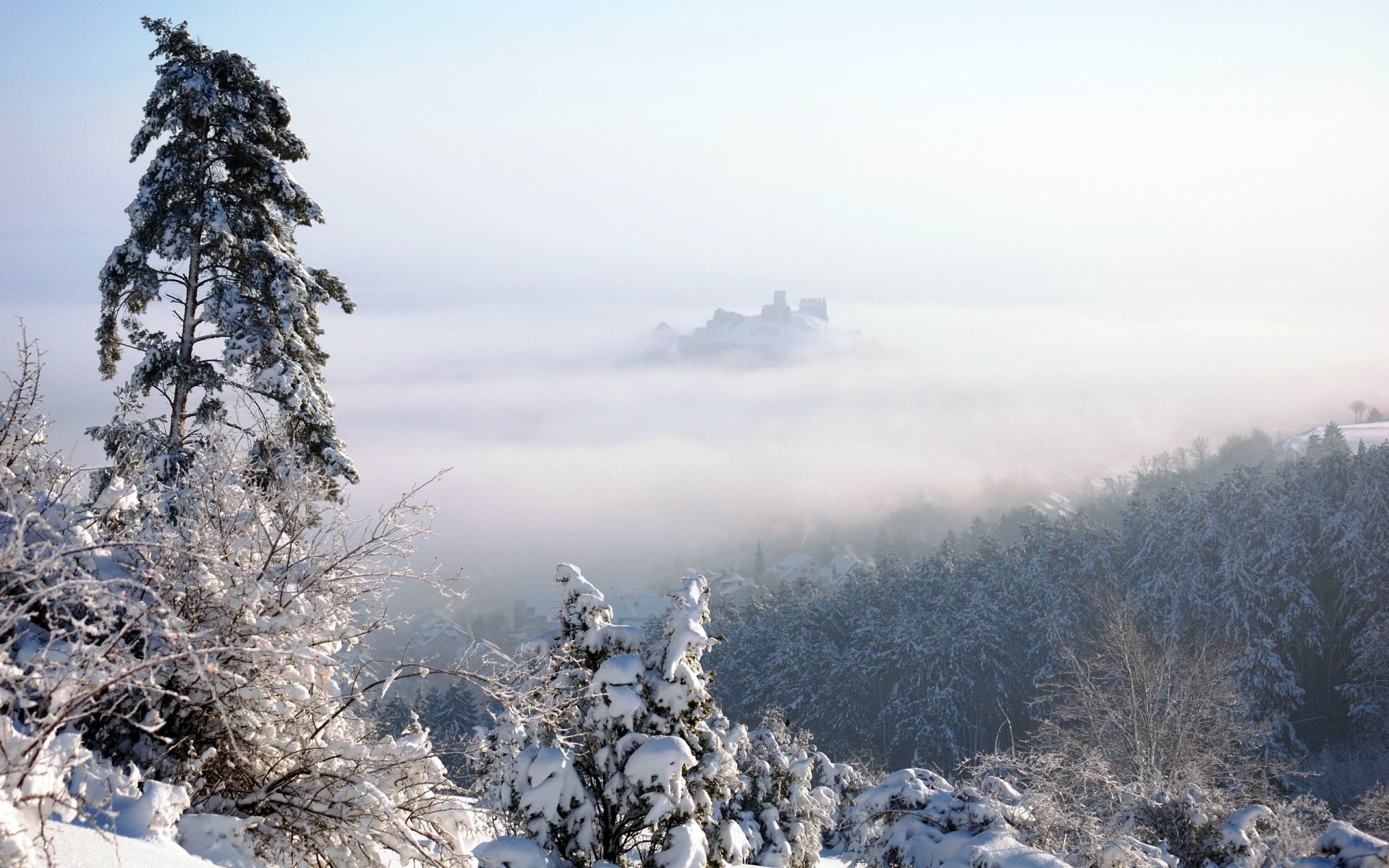 hiver neige brouillard