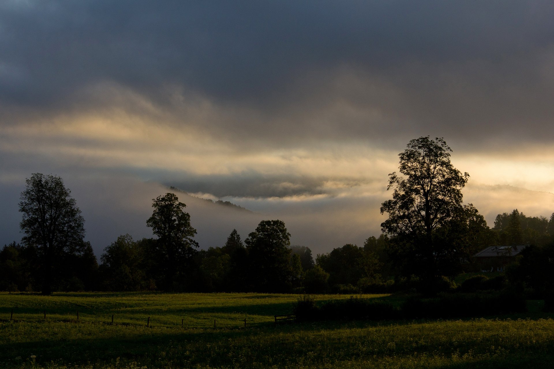 aube bavière arbres rayons été