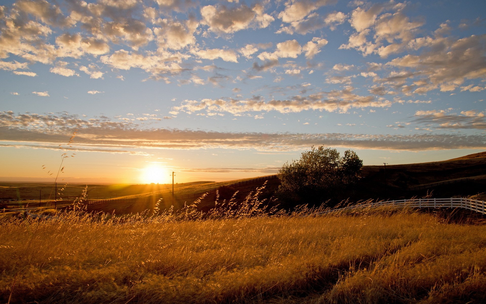 campo tramonto recinzione paesaggio