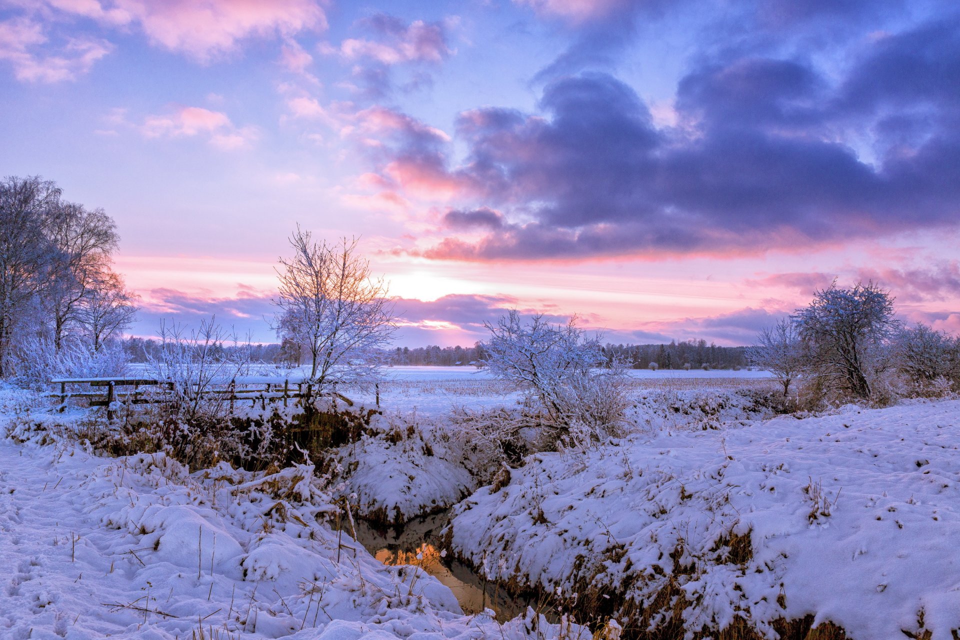 feld bäume land fluss brücke schnee winter morgen morgendämmerung