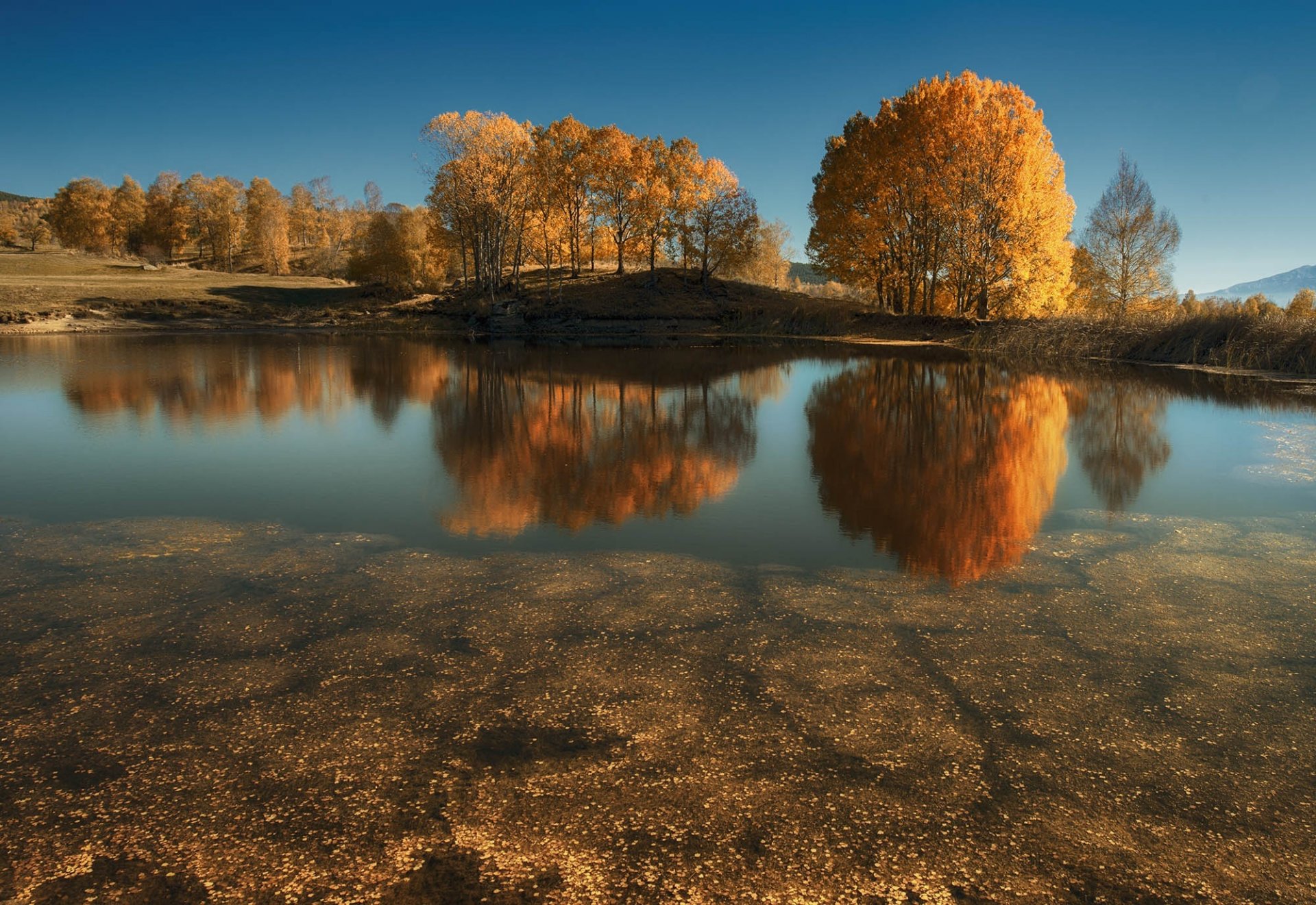 nature autumn lake tree reflection