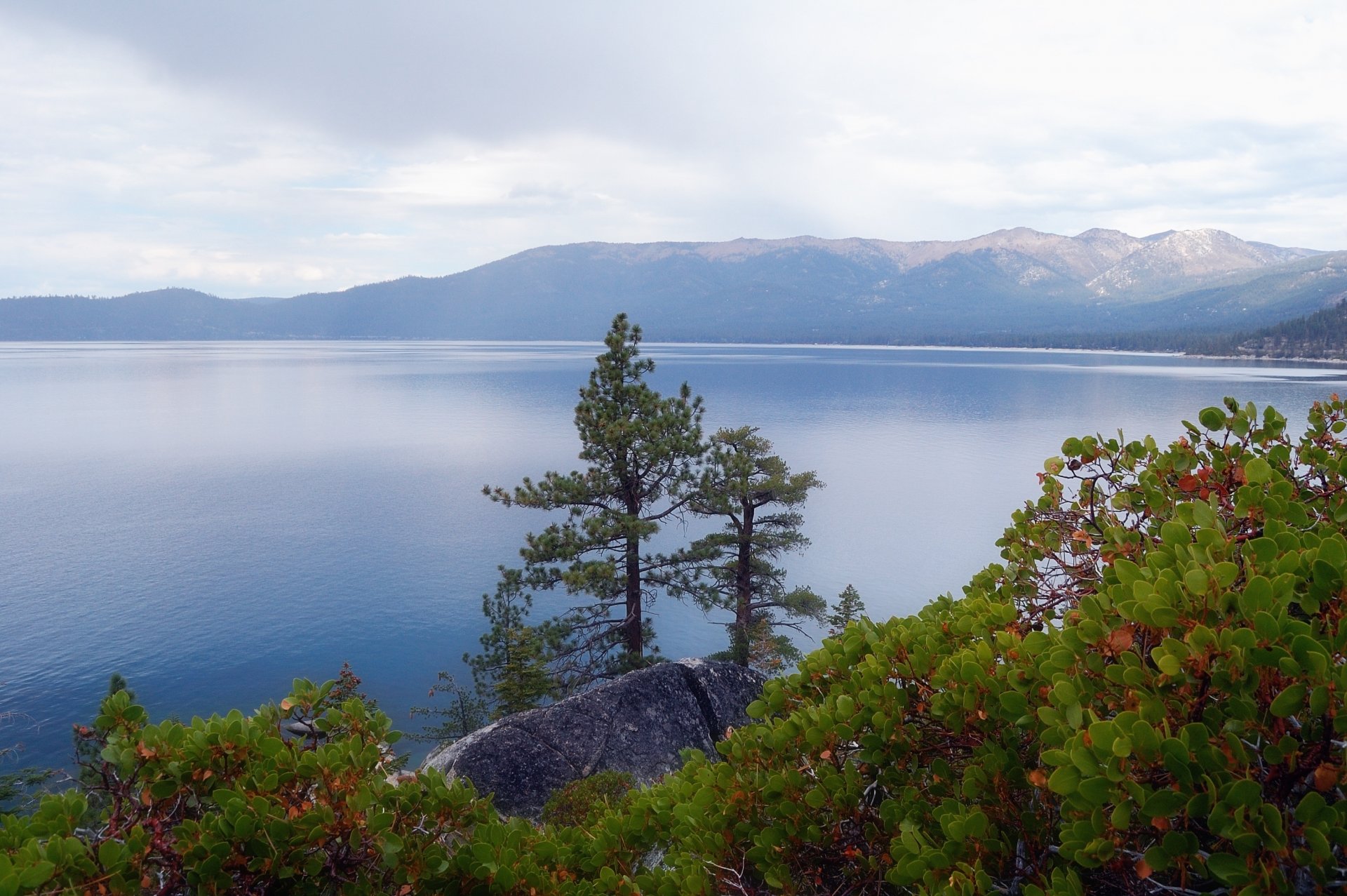 lake tahoe nevada united states lake tree plants sky clouds mountain rock