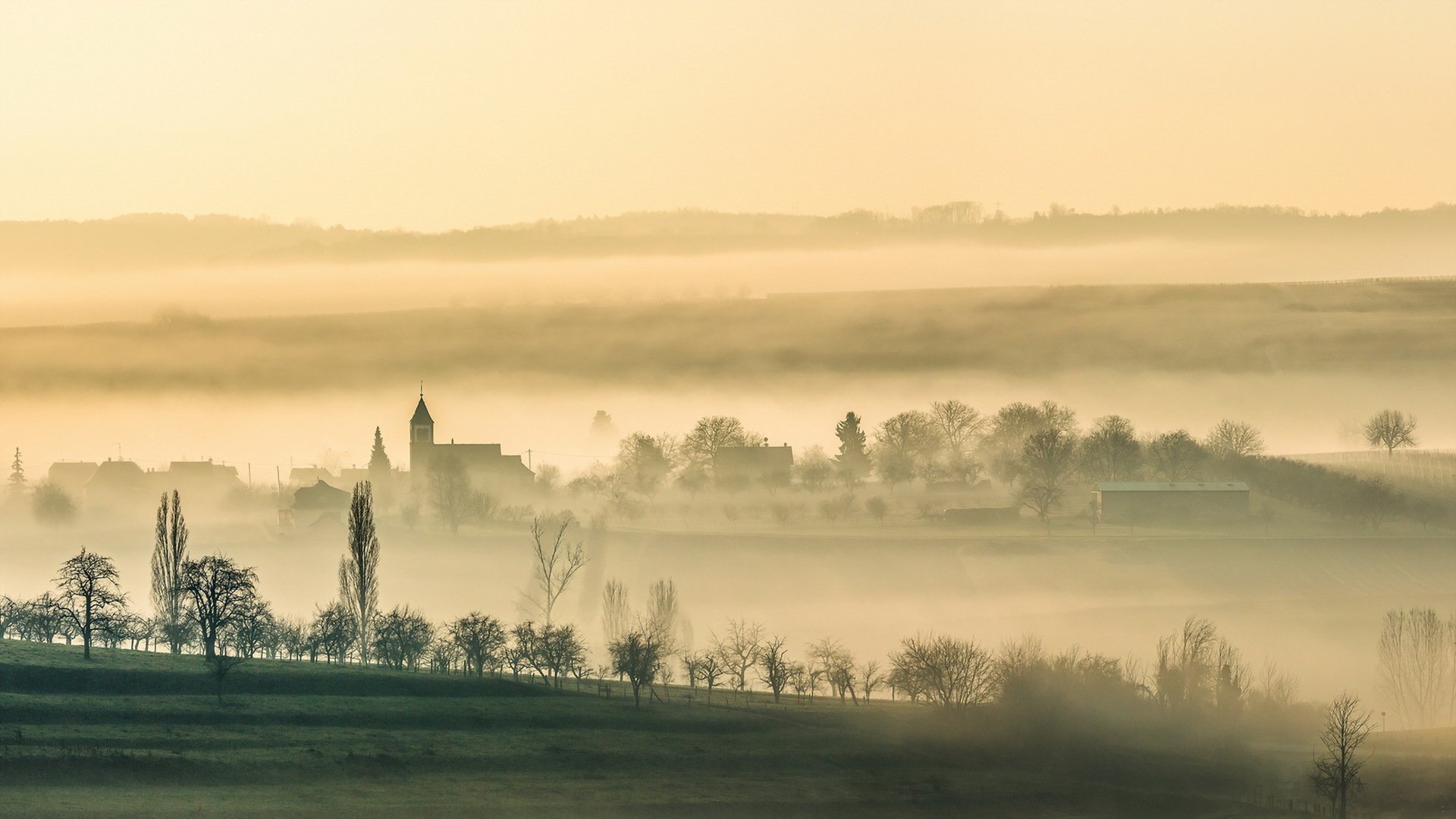 traenheim morning fog