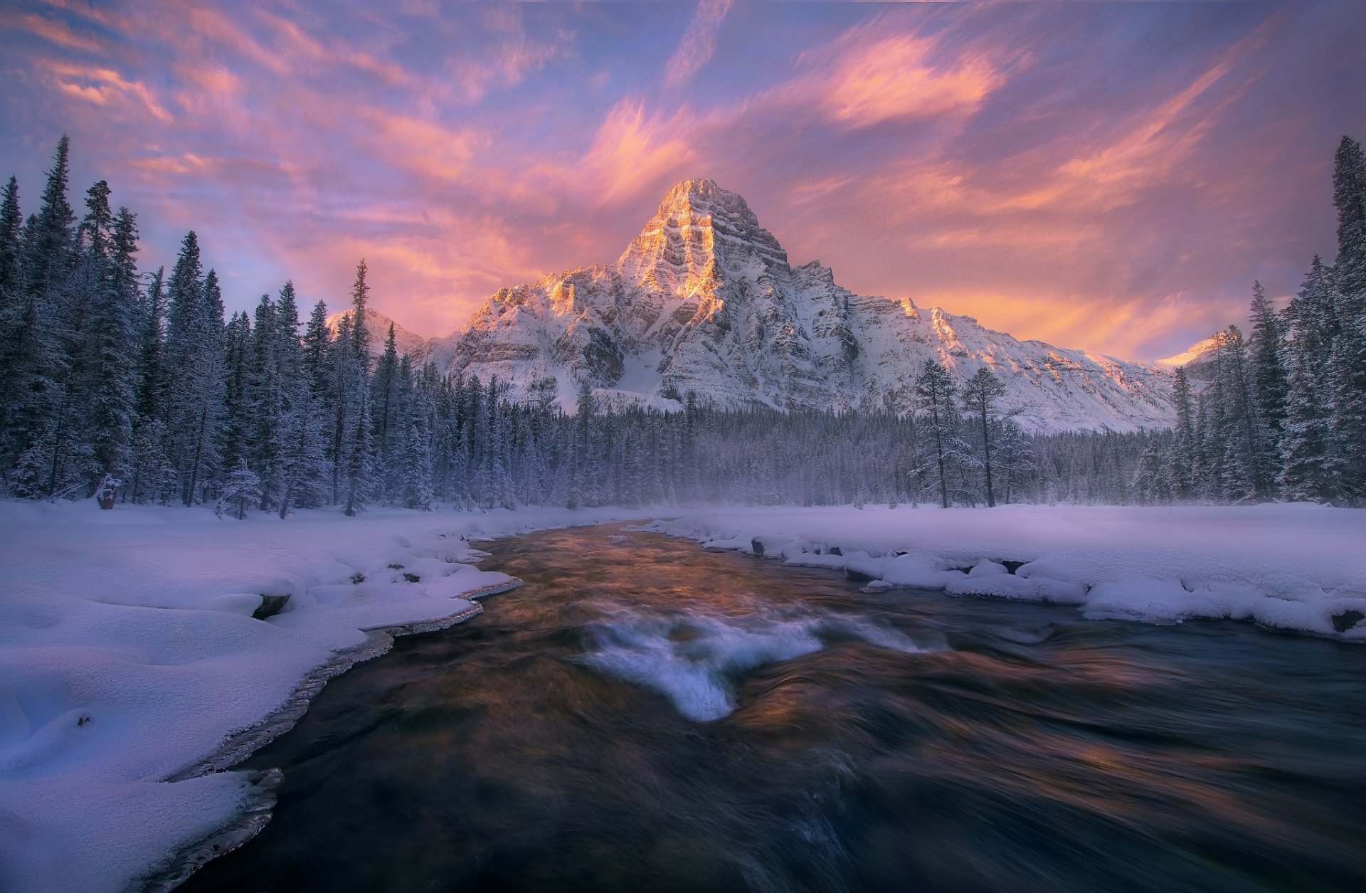 canada albert banff national park mount chephren winter forest river feed snow