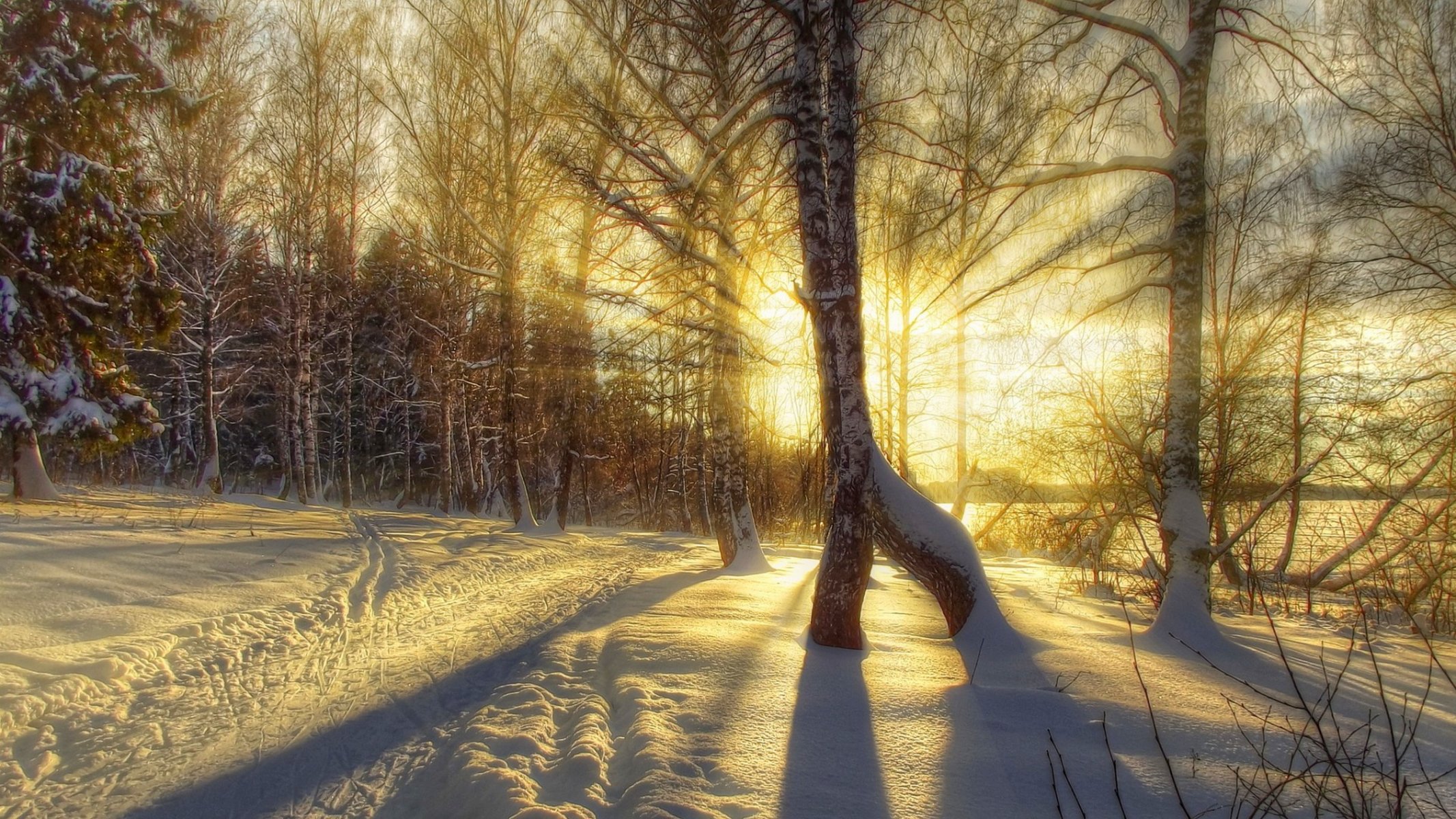 natura inverno neve strada alberi foresta cielo paesaggio inverno bianco fresco bello tramonto