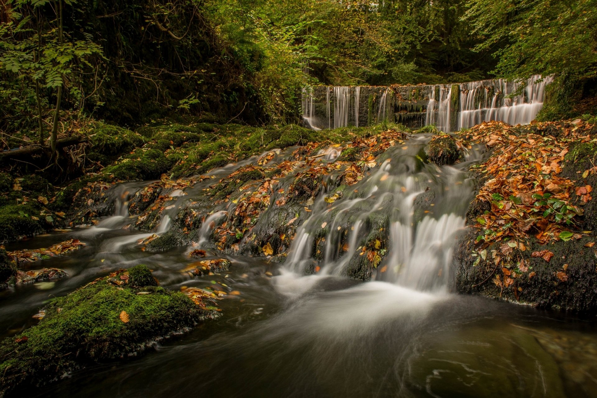 distrito del lago cumbria inglaterra distrito del lago distrito de los lagos cascada cascada bosque otoño