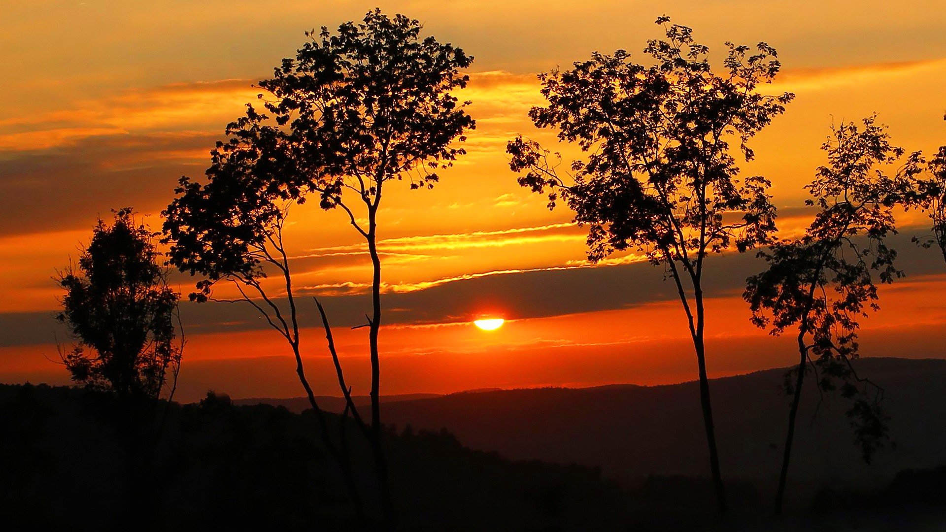 cielo nuvole tramonto sole alberi sagoma colline