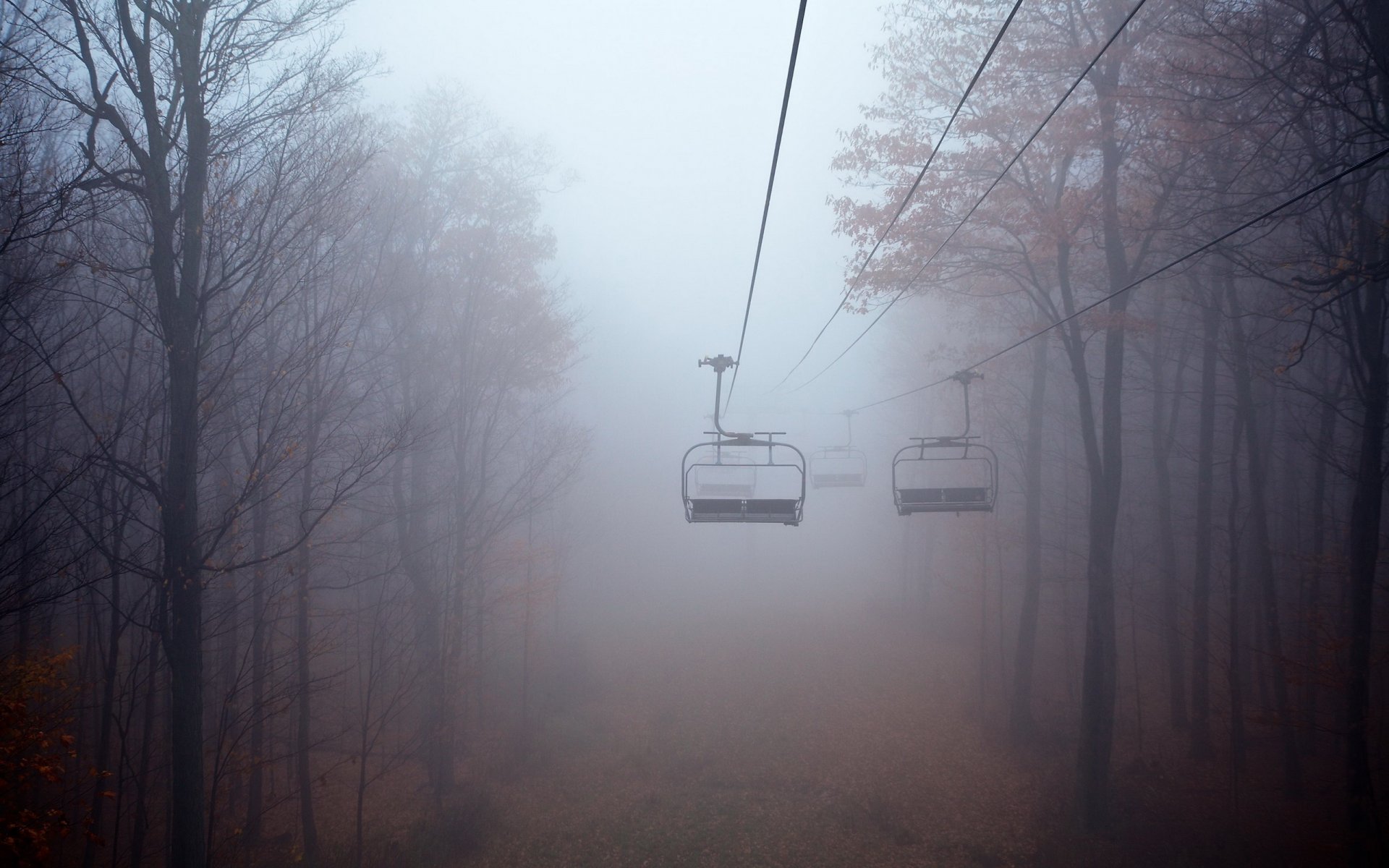 funivia nebbia paesaggio