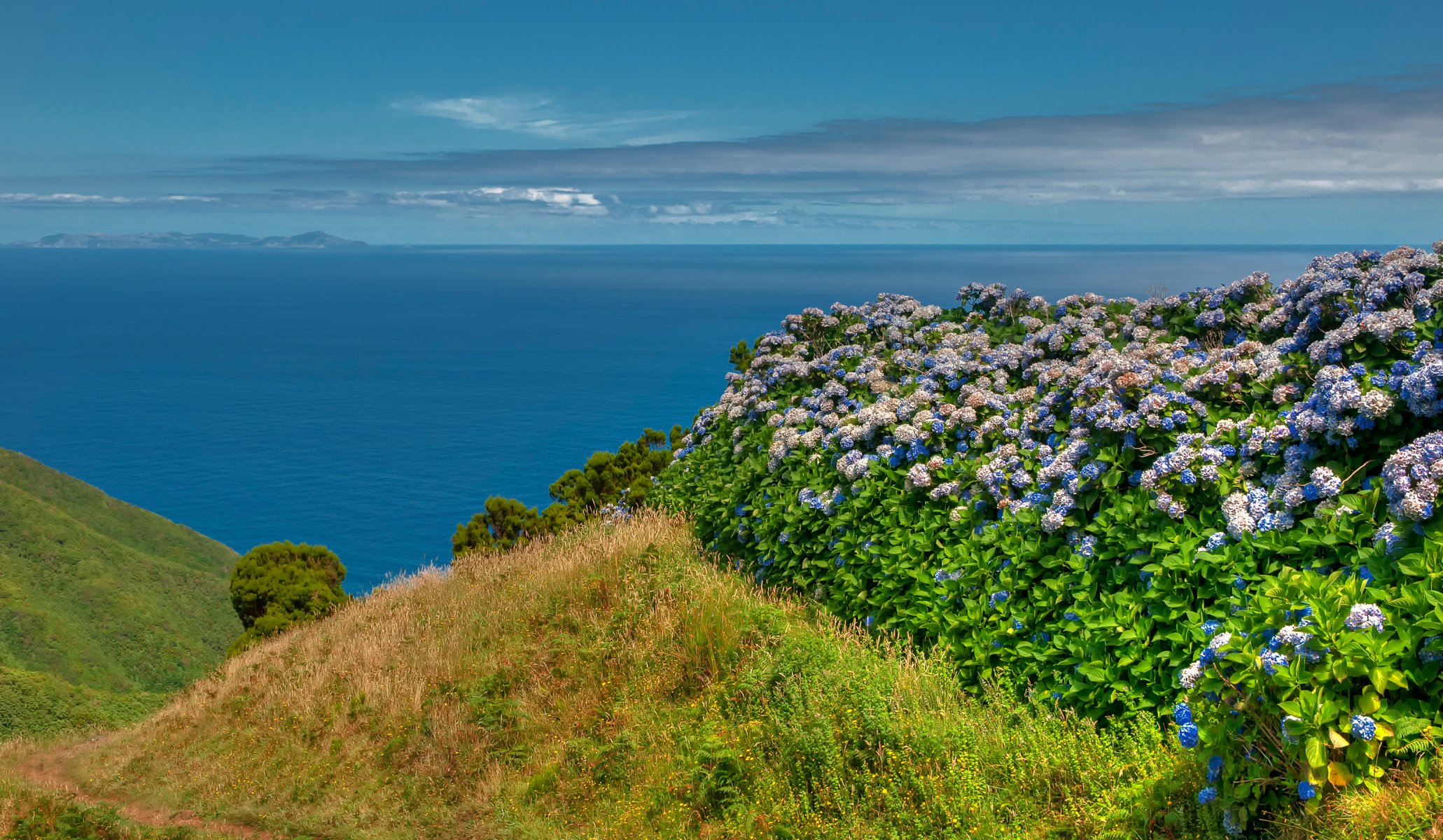 bretagne france ciel mer montagnes herbe fleurs nature