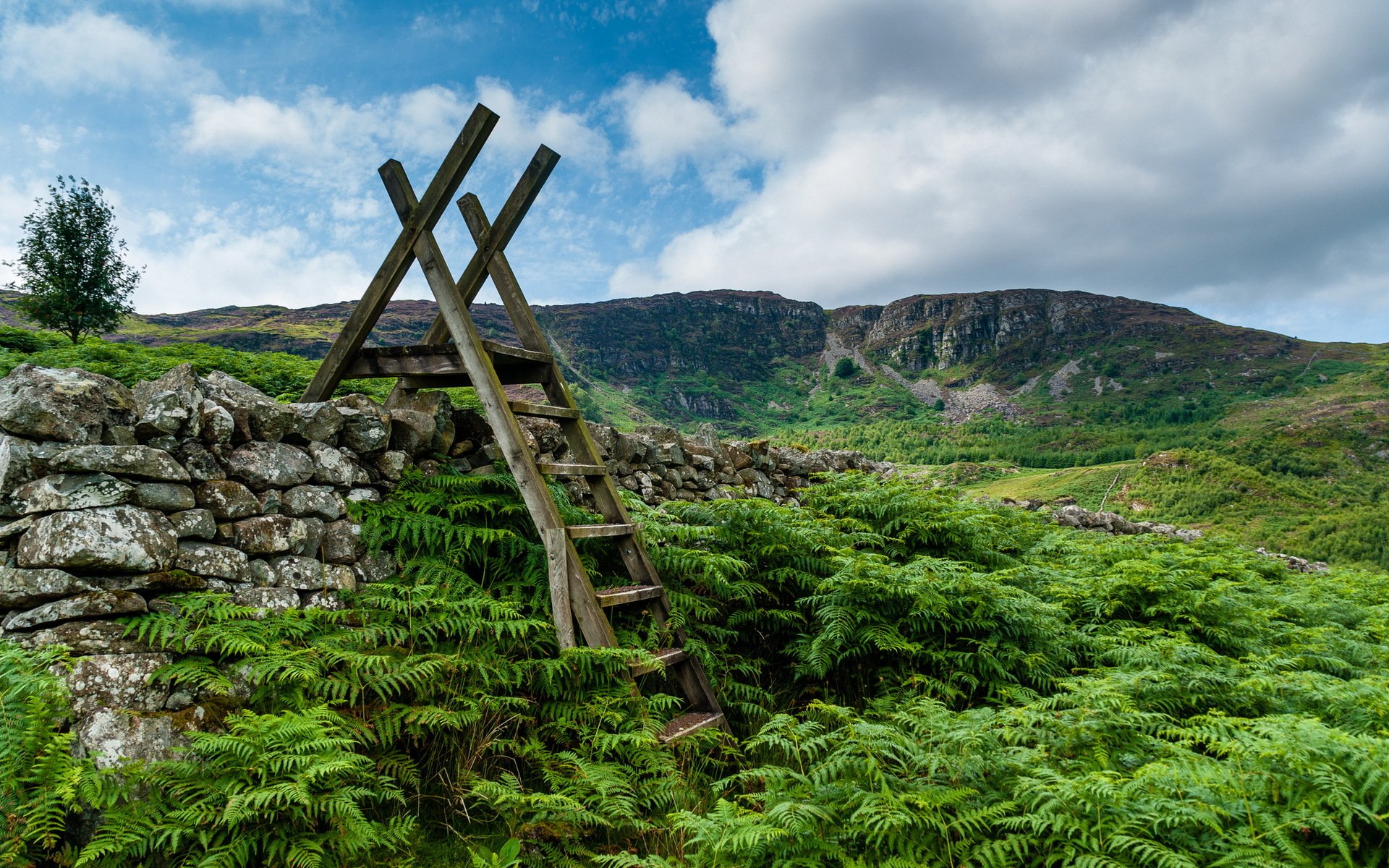 wales ganllwyd ladder stile at coed ganllwyd snowdonia