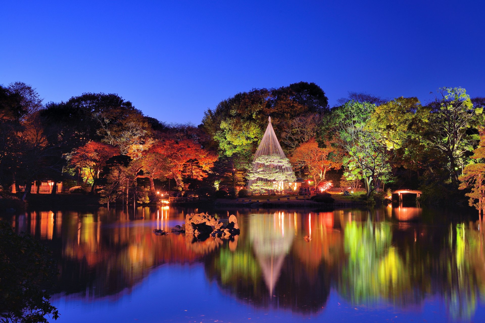 tokio rikugien ogród woda drzewa natura wieczór