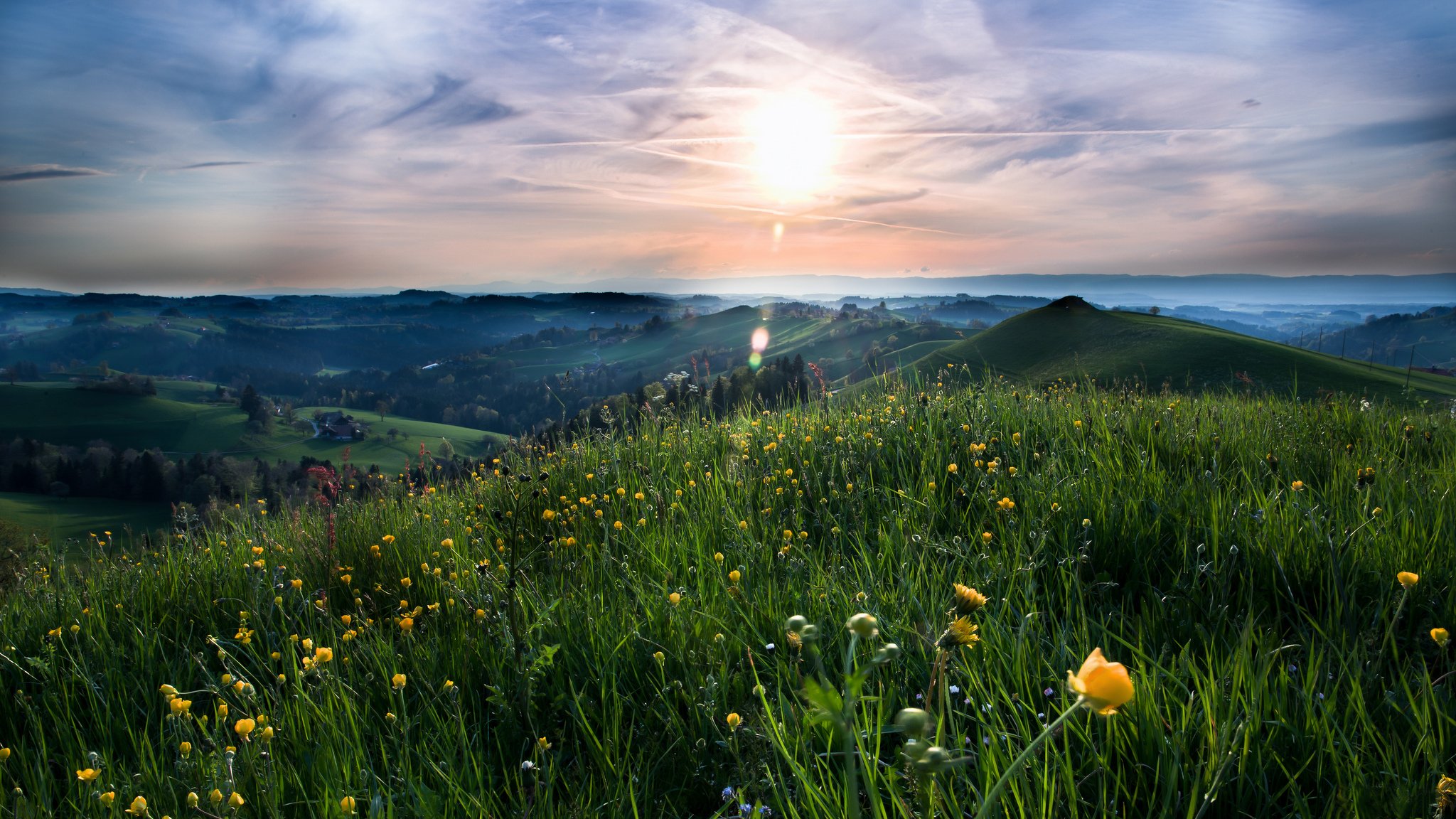 feld wiese gras sommer hügel blumen sonne wolken natur landschaft