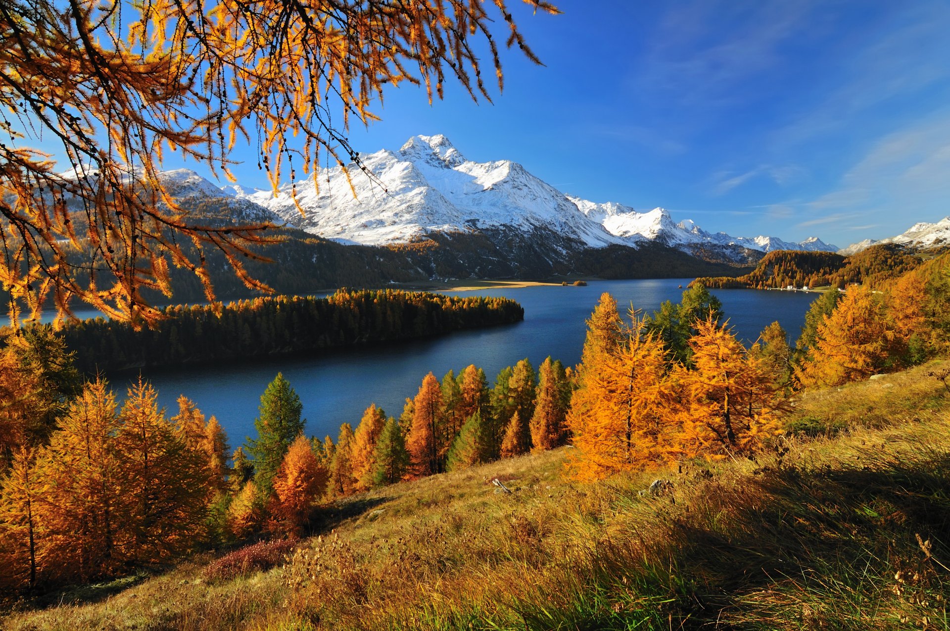 svizzera lago silsersee foresta montagna ghiacciaio autunno