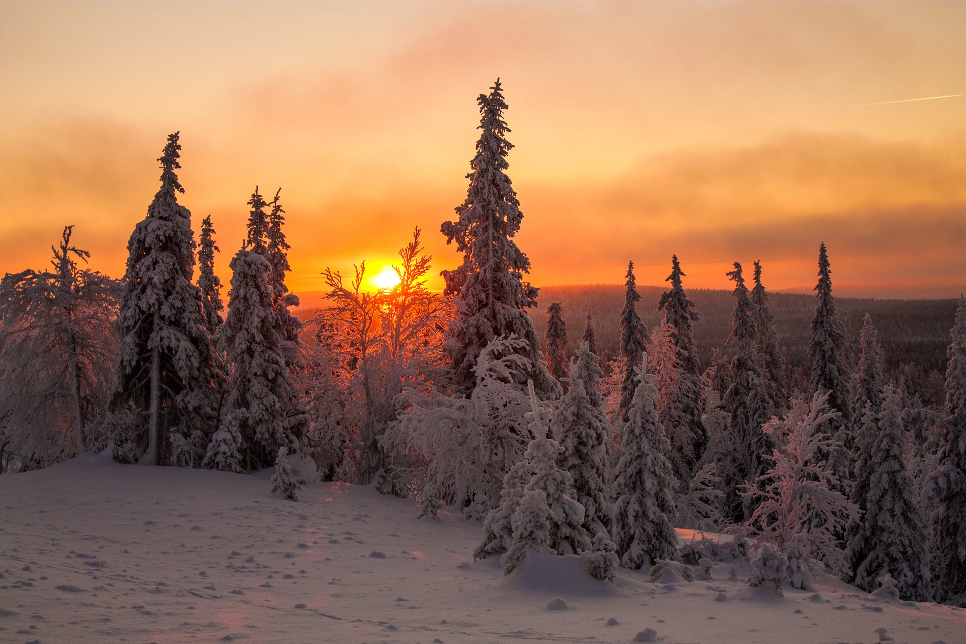 lappland finnland winter schnee bäume fichte himmel wolken sonnenuntergang sonne