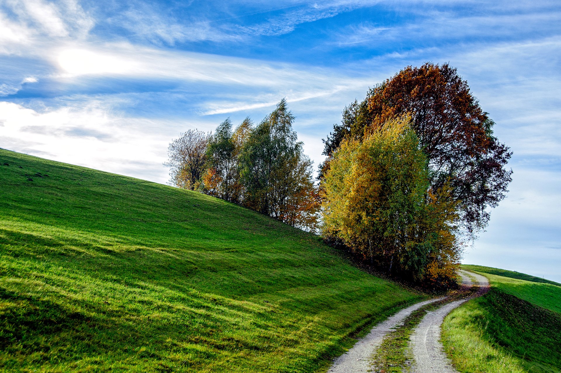 cielo collina pendio erba strada alberi autunno