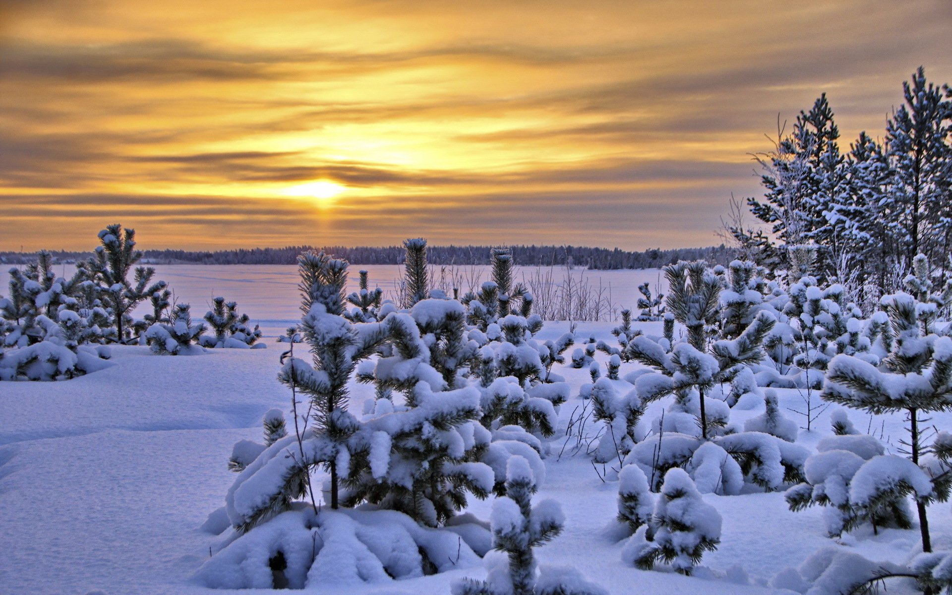 sonnenuntergang winter landschaft