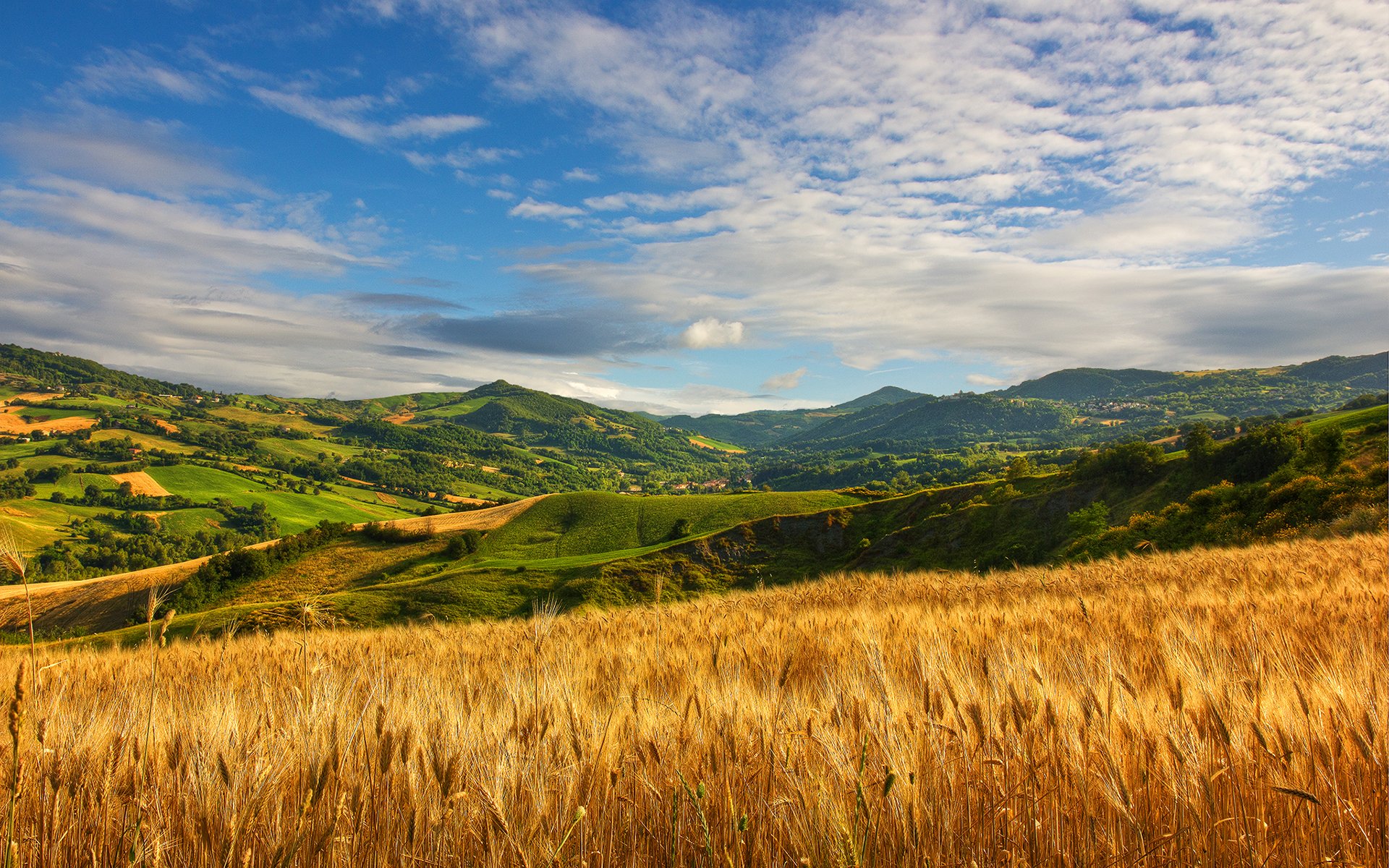 colline grano nuvola estate erba