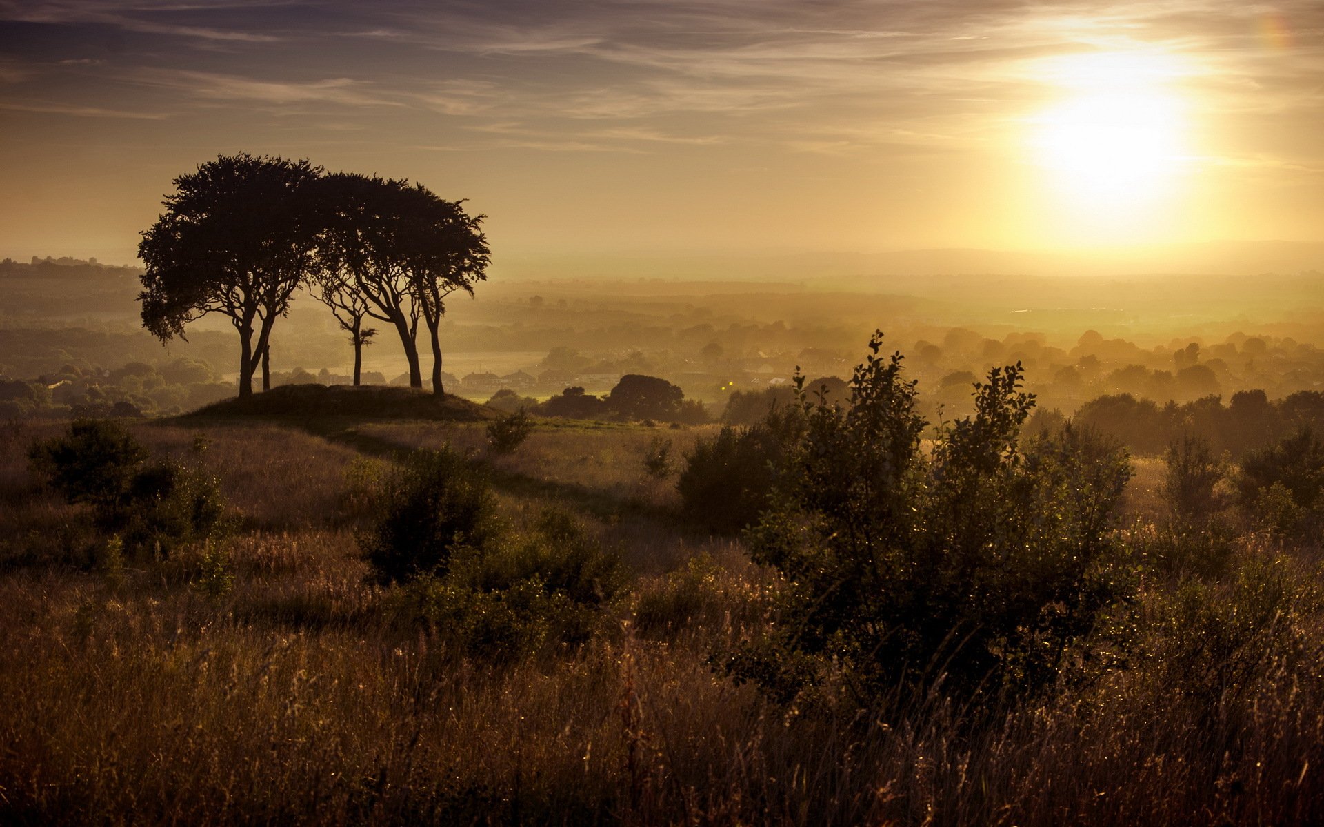 kopt hill haughton-le-spring zachód słońca