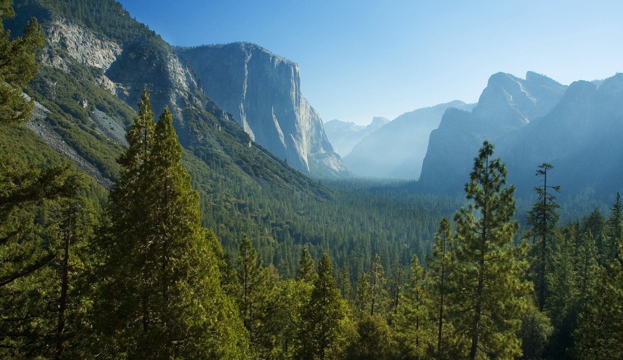 stati uniti parco nazionale di yosemite california montagne rocce foresta alberi gola valle foschia panorama