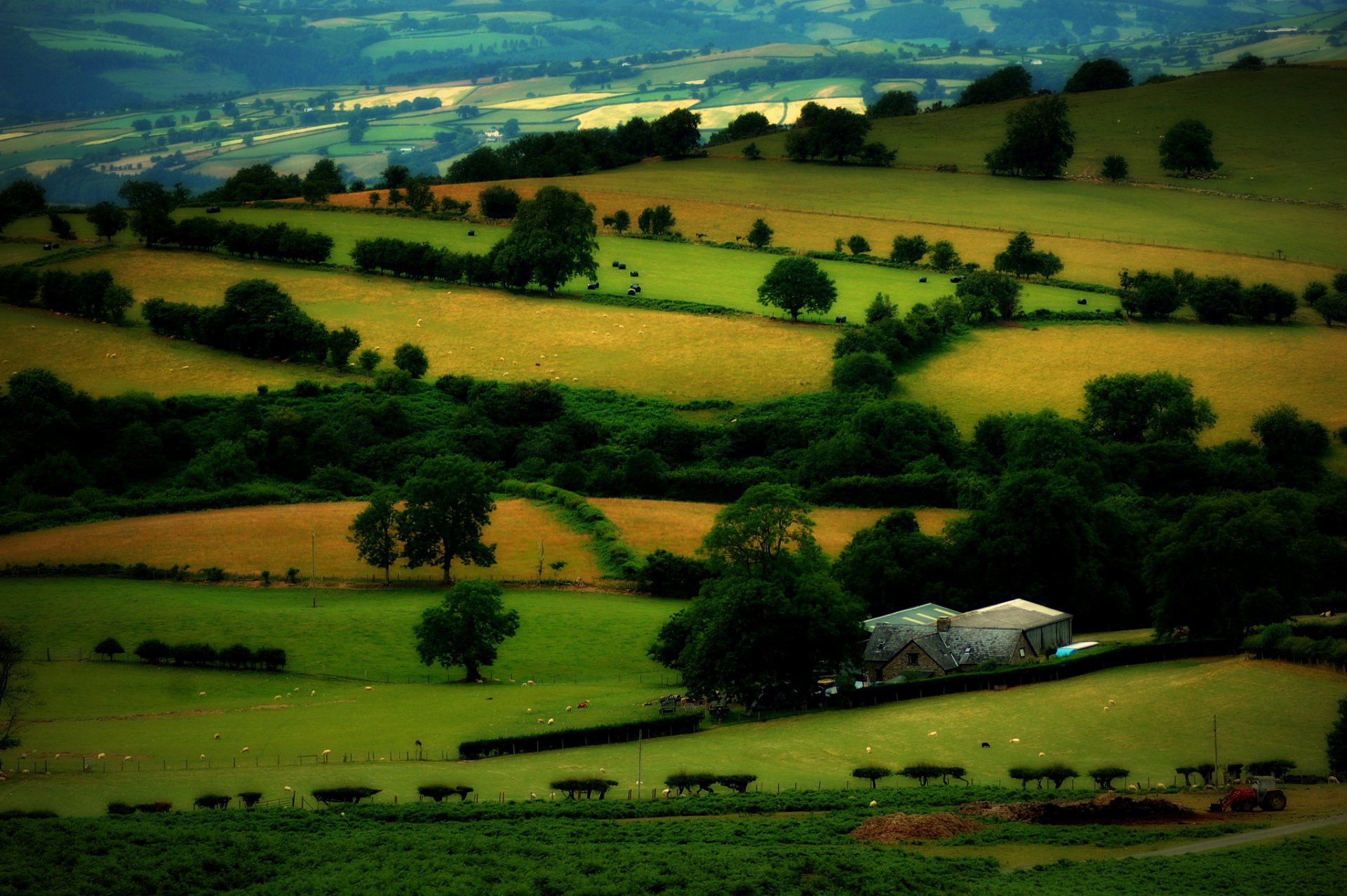 of the field tree house pasture