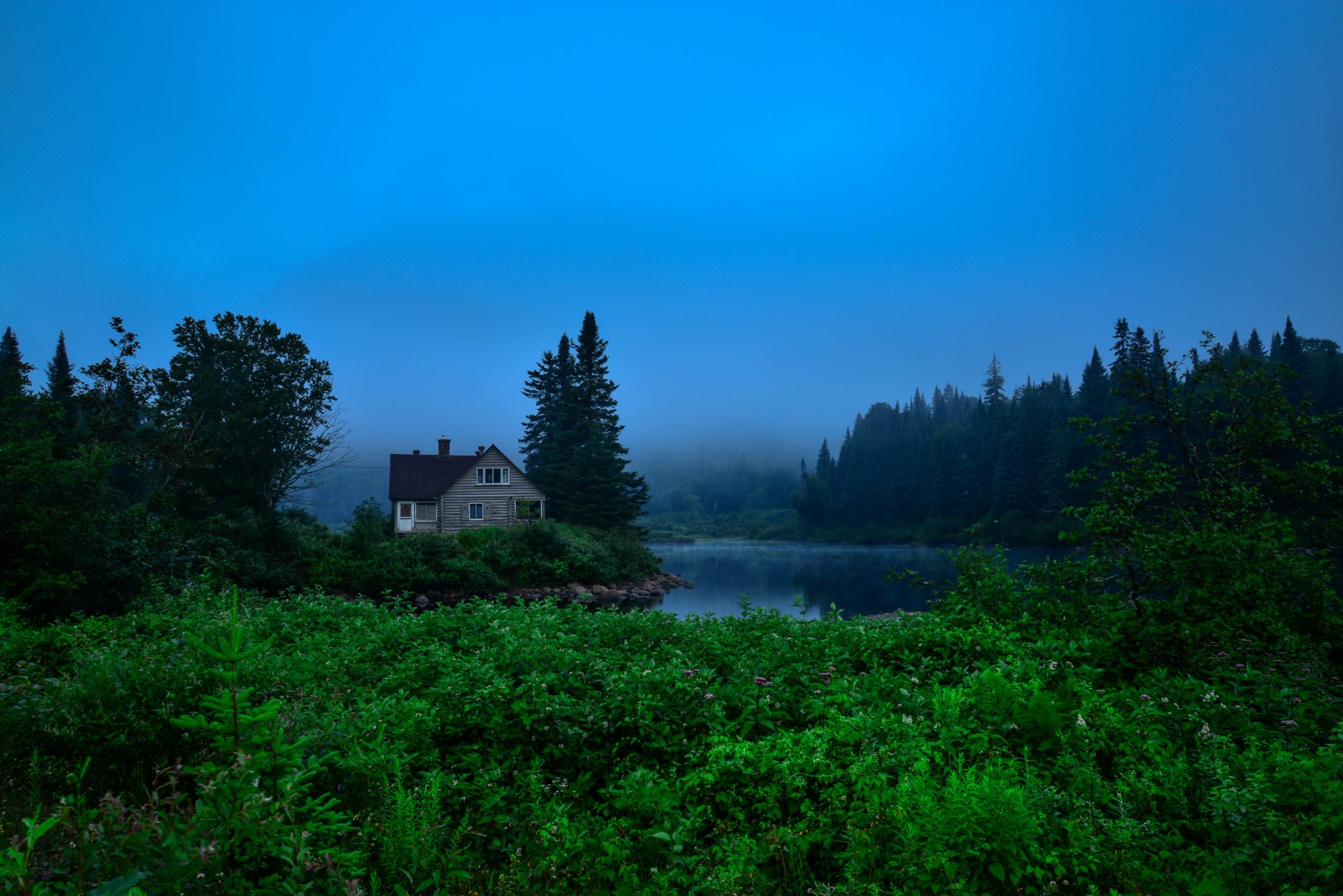 canada jacques-cartier park forest tree house river water fog green bush