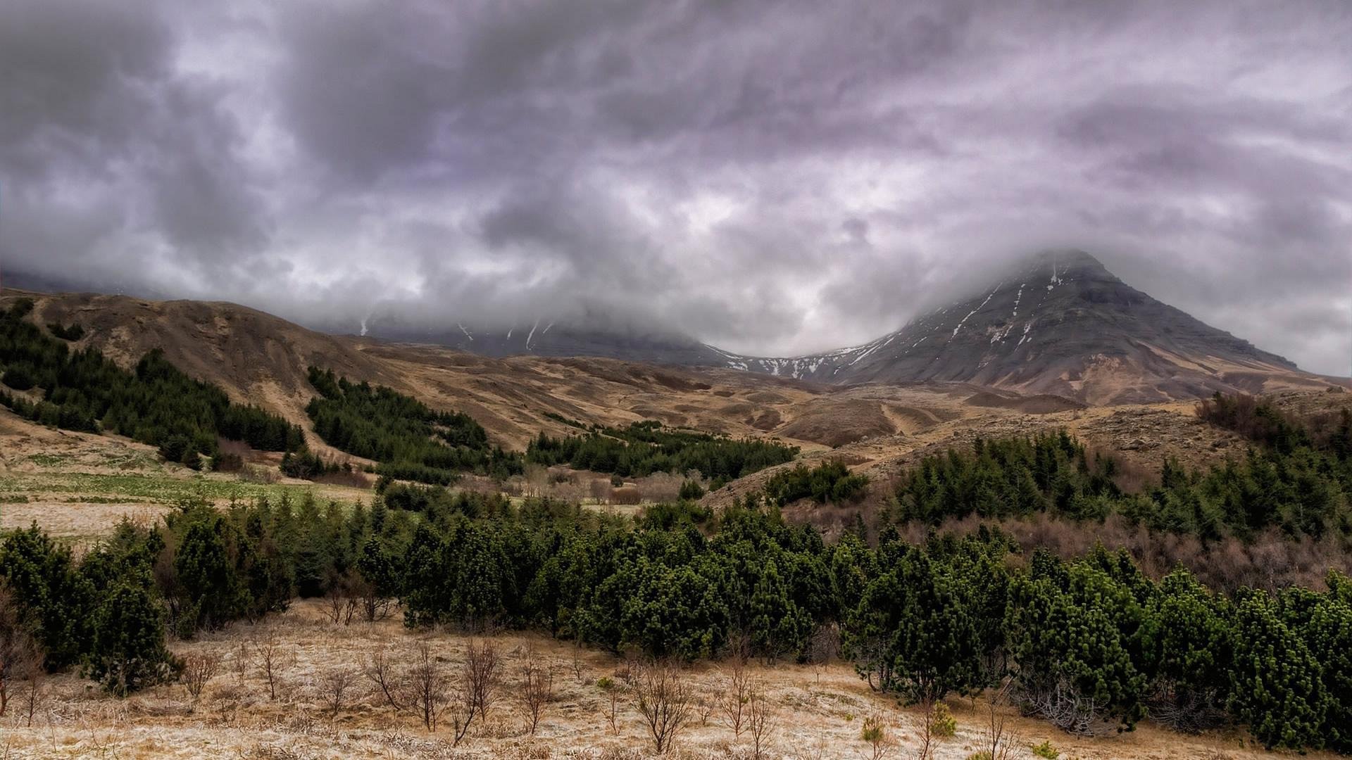 nature forêt montagnes météo nuages nuages