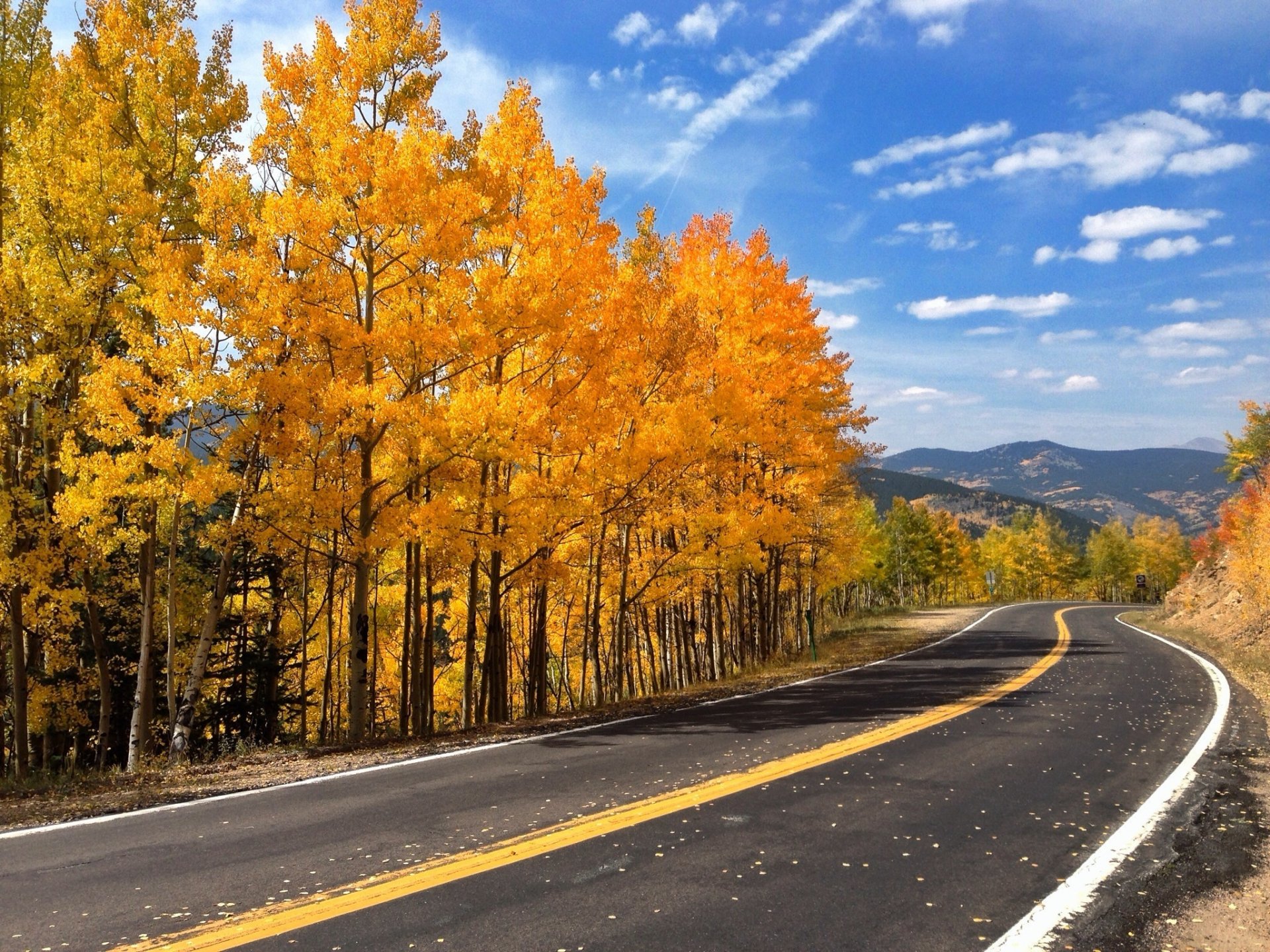 himmel wald straße herbst blätter natur berge bäume