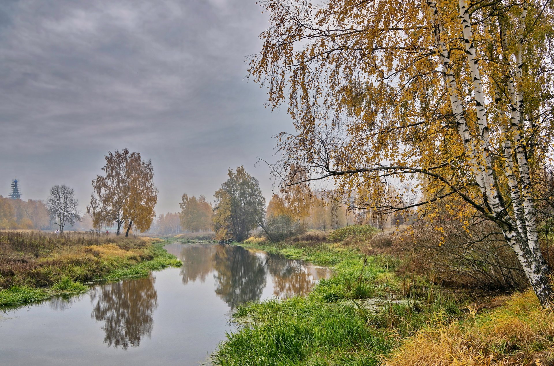 alberi autunno dorato klyazma autunno paesaggio fiume nebbia