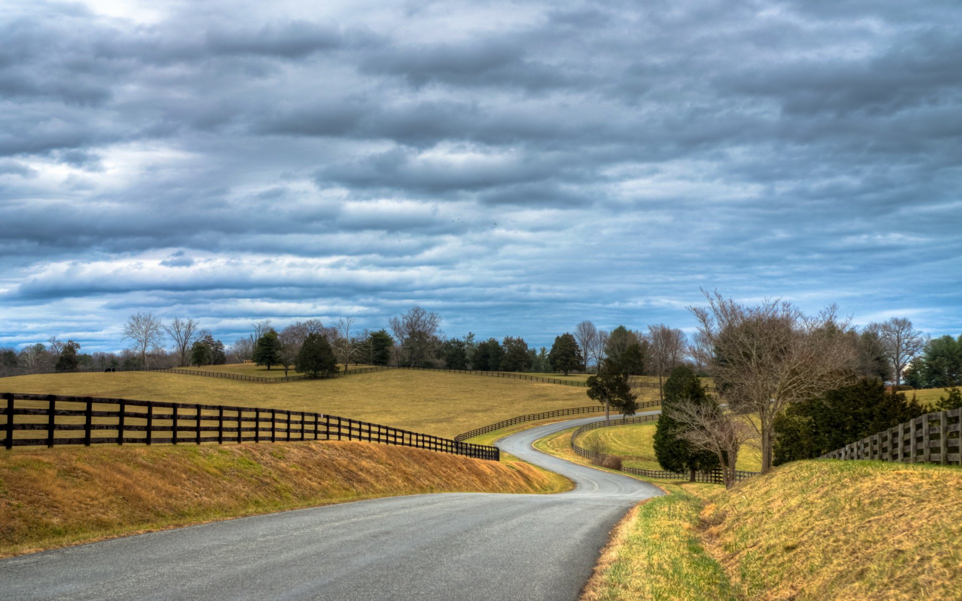 road fence landscape