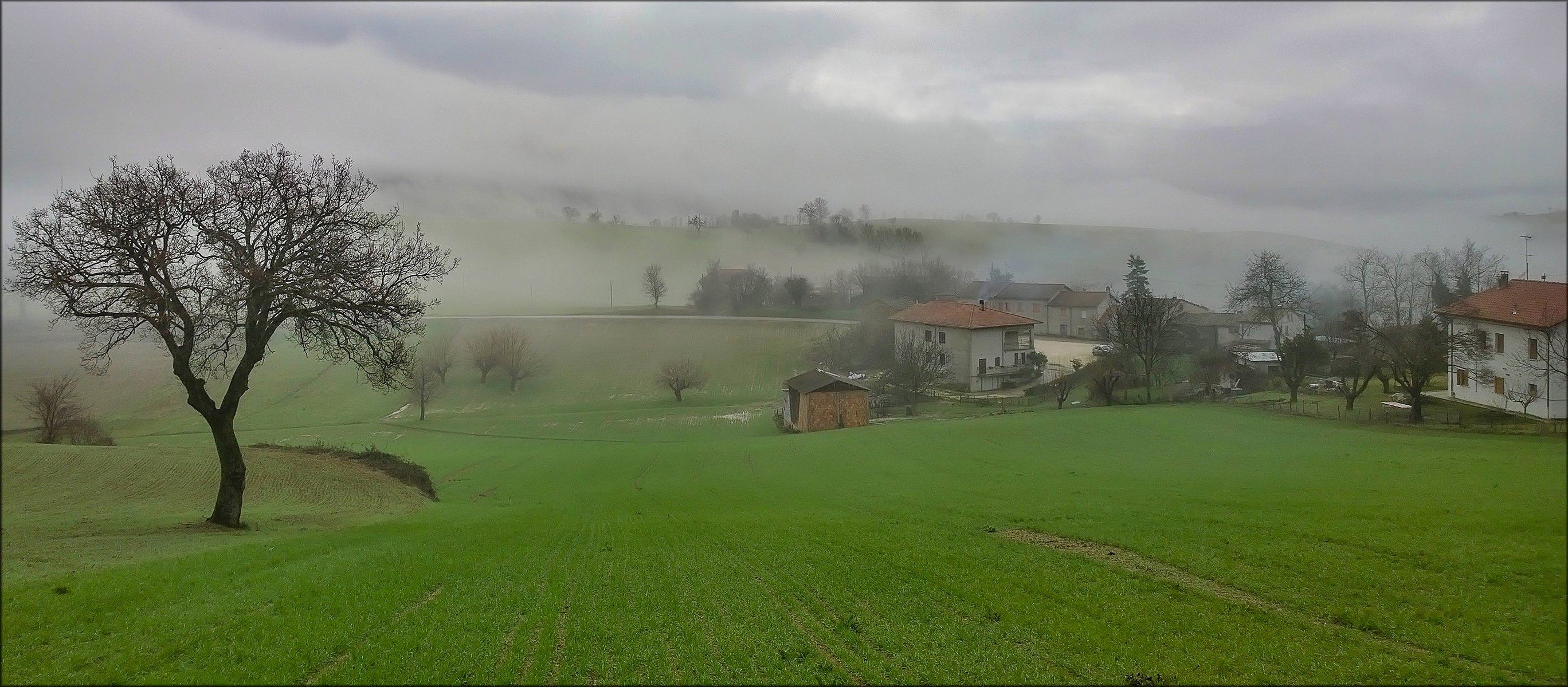 italia campagna mattina nebbia casa alberi erba