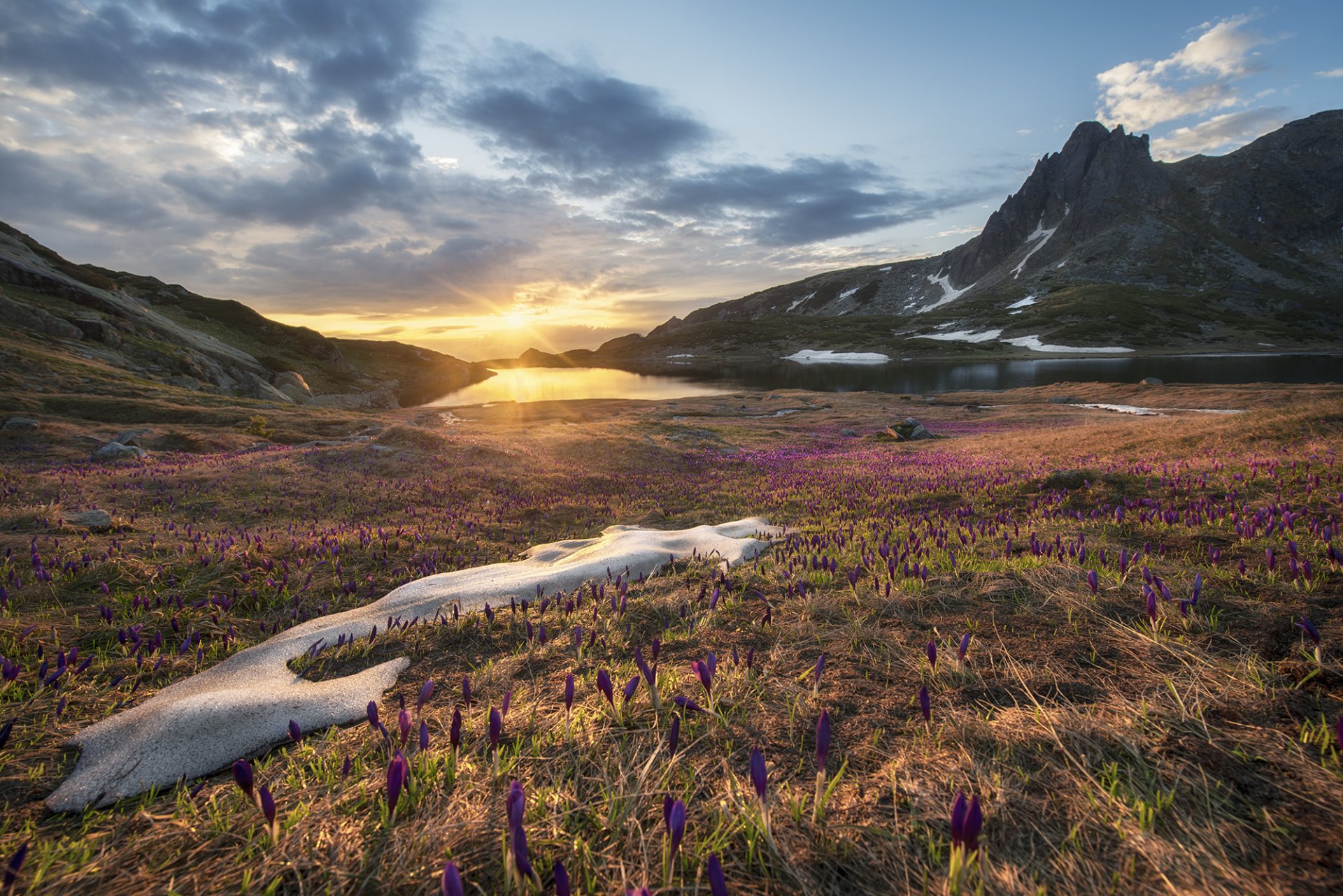 bulgaria rila lago amanecer rocas azafrán primavera