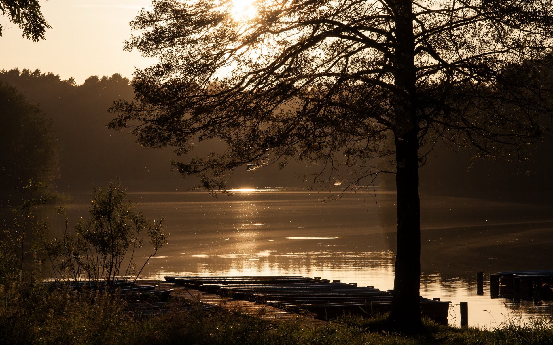 lac matin paysage