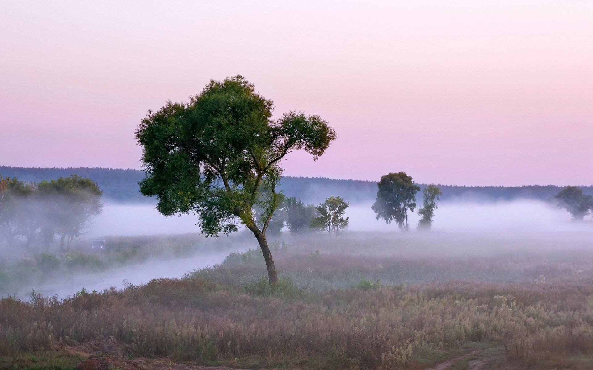 rivière brouillard nature paysage