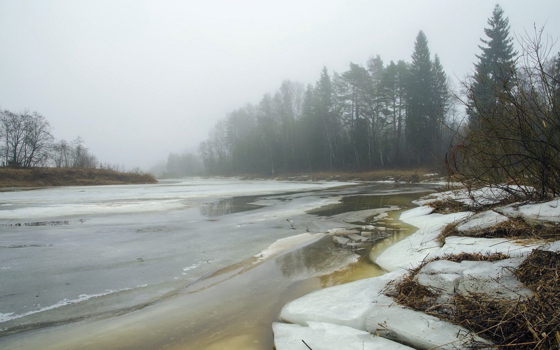 pring river fog nature landscape