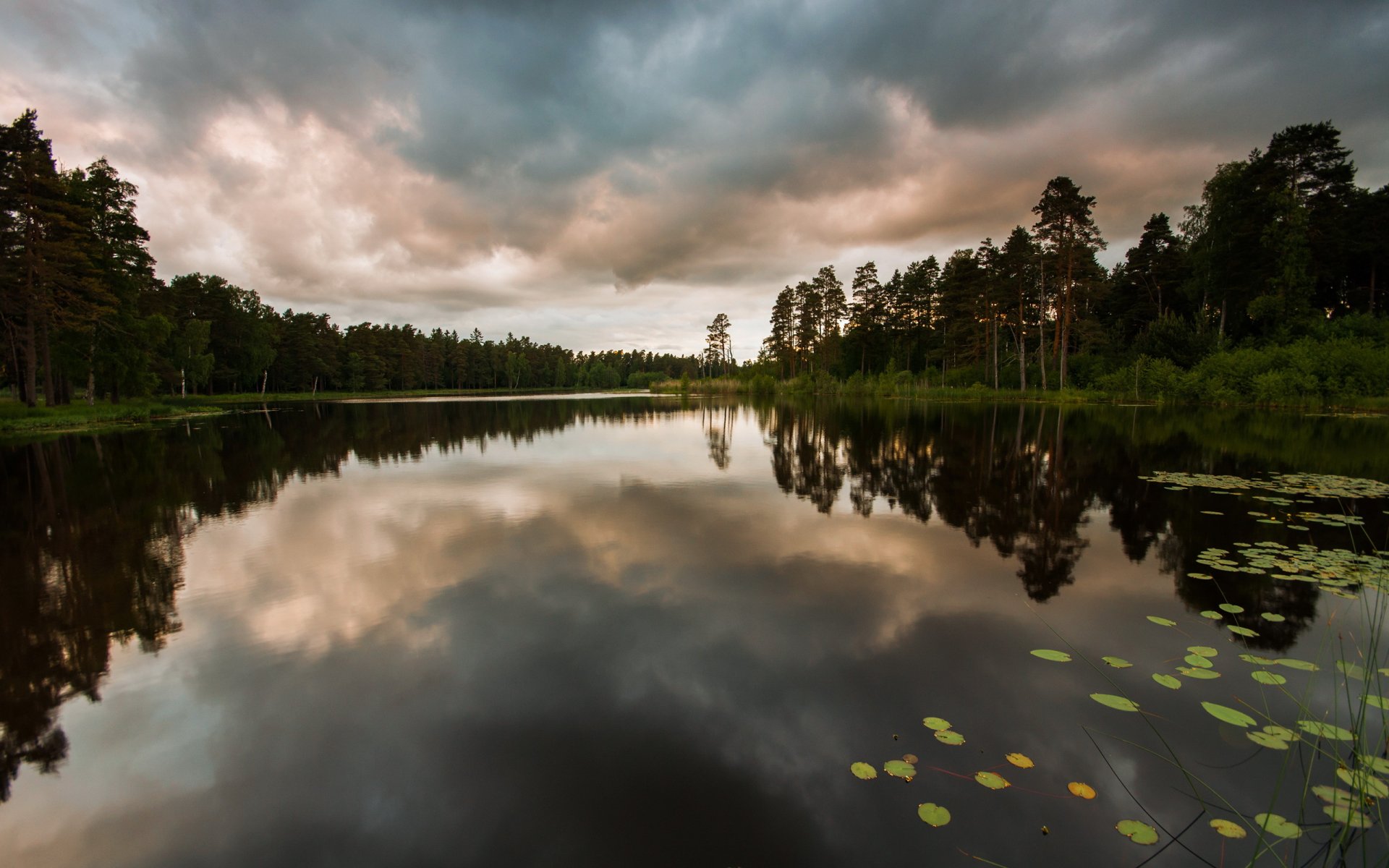 lake forest nature