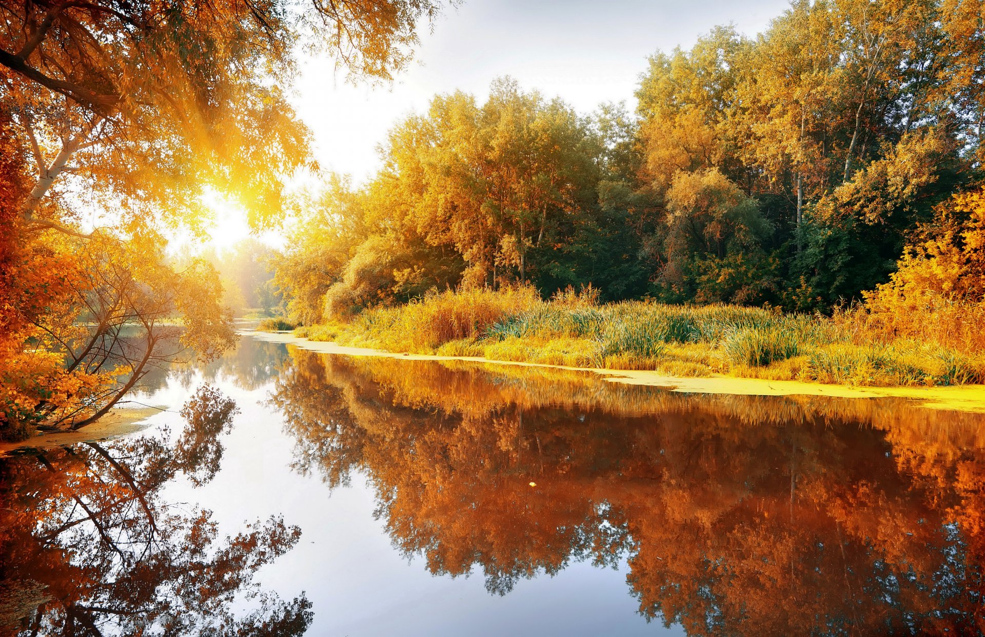 jesień krajobraz natura gaj las rzeka słońce