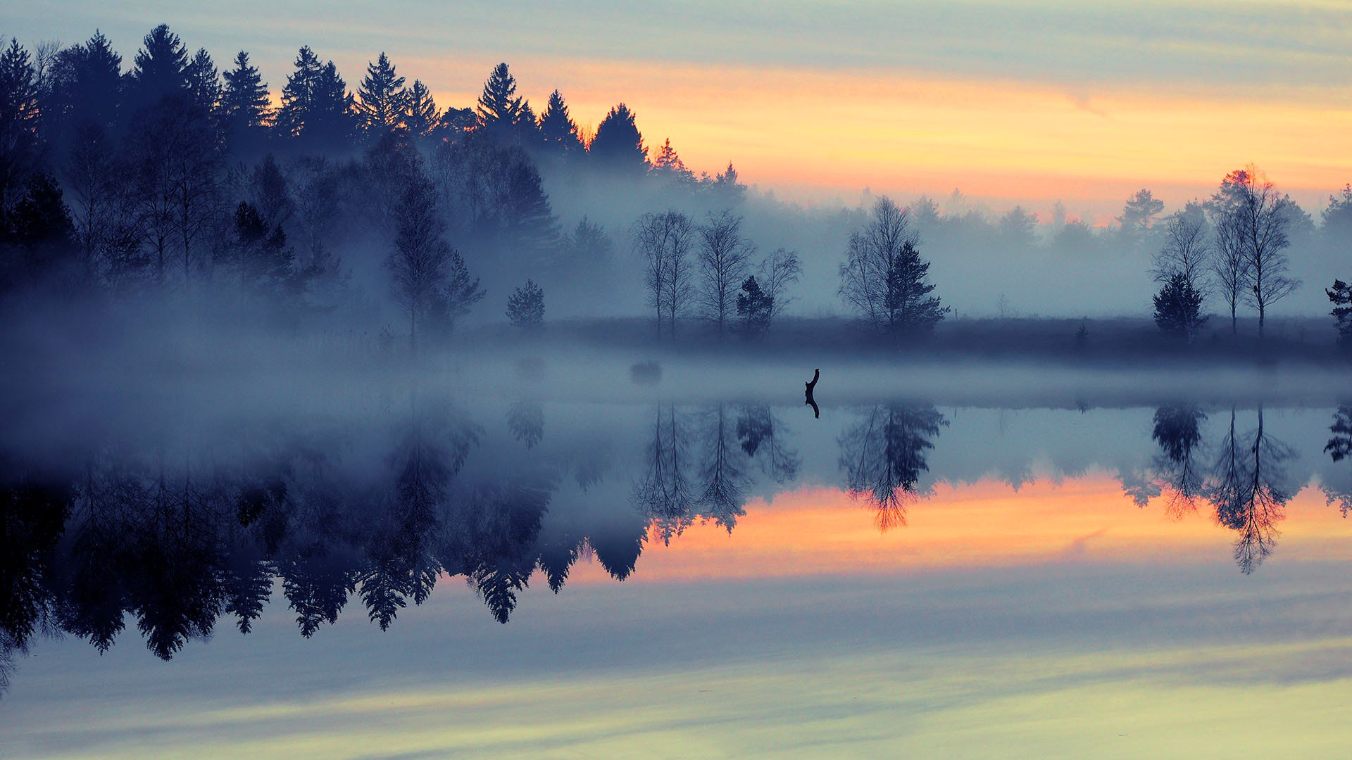 cielo nubes puesta de sol árboles lago niebla reflexión