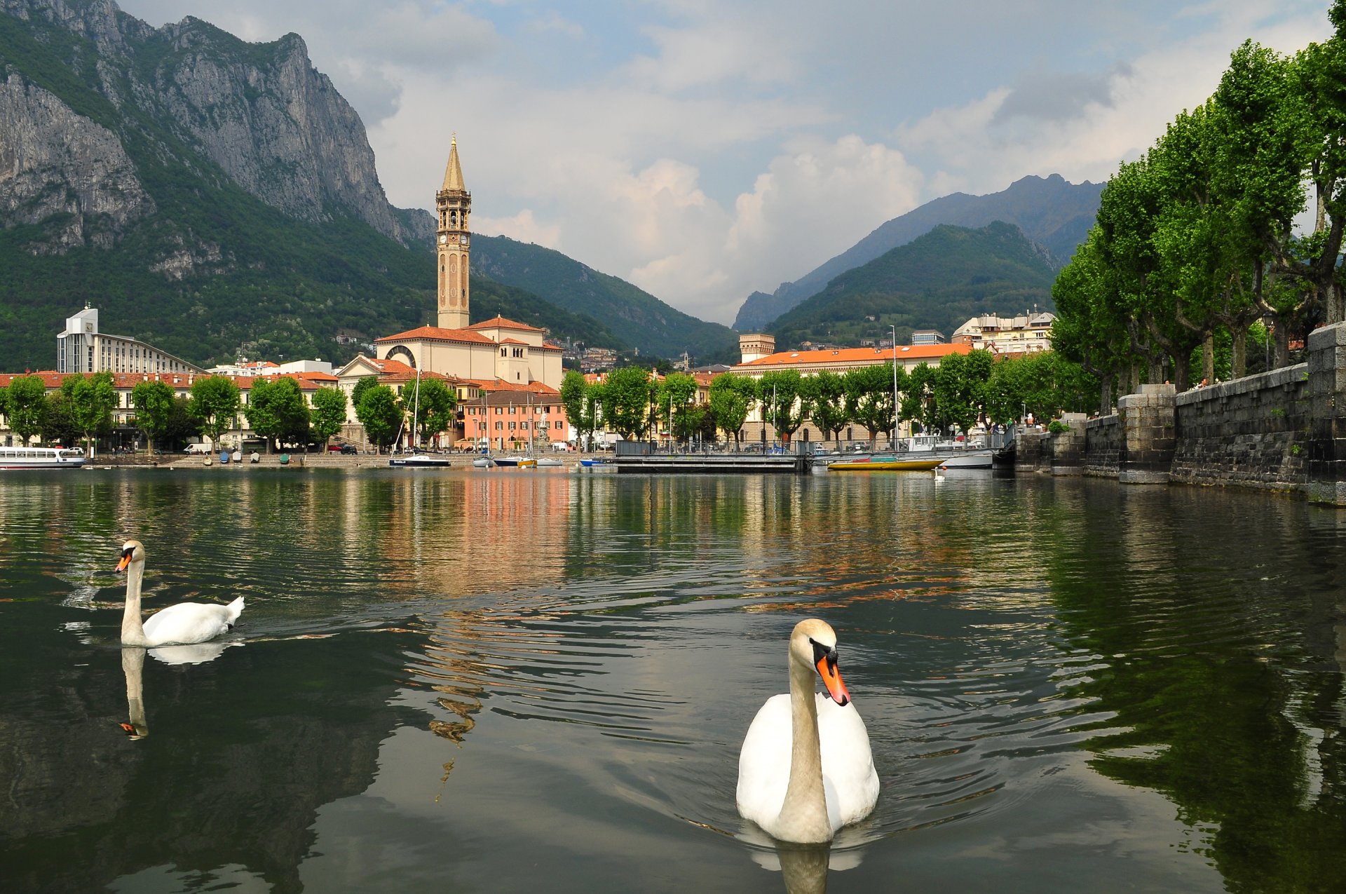 lecco lombardie italie lac de côme cygne oiseaux ciel montagnes ville