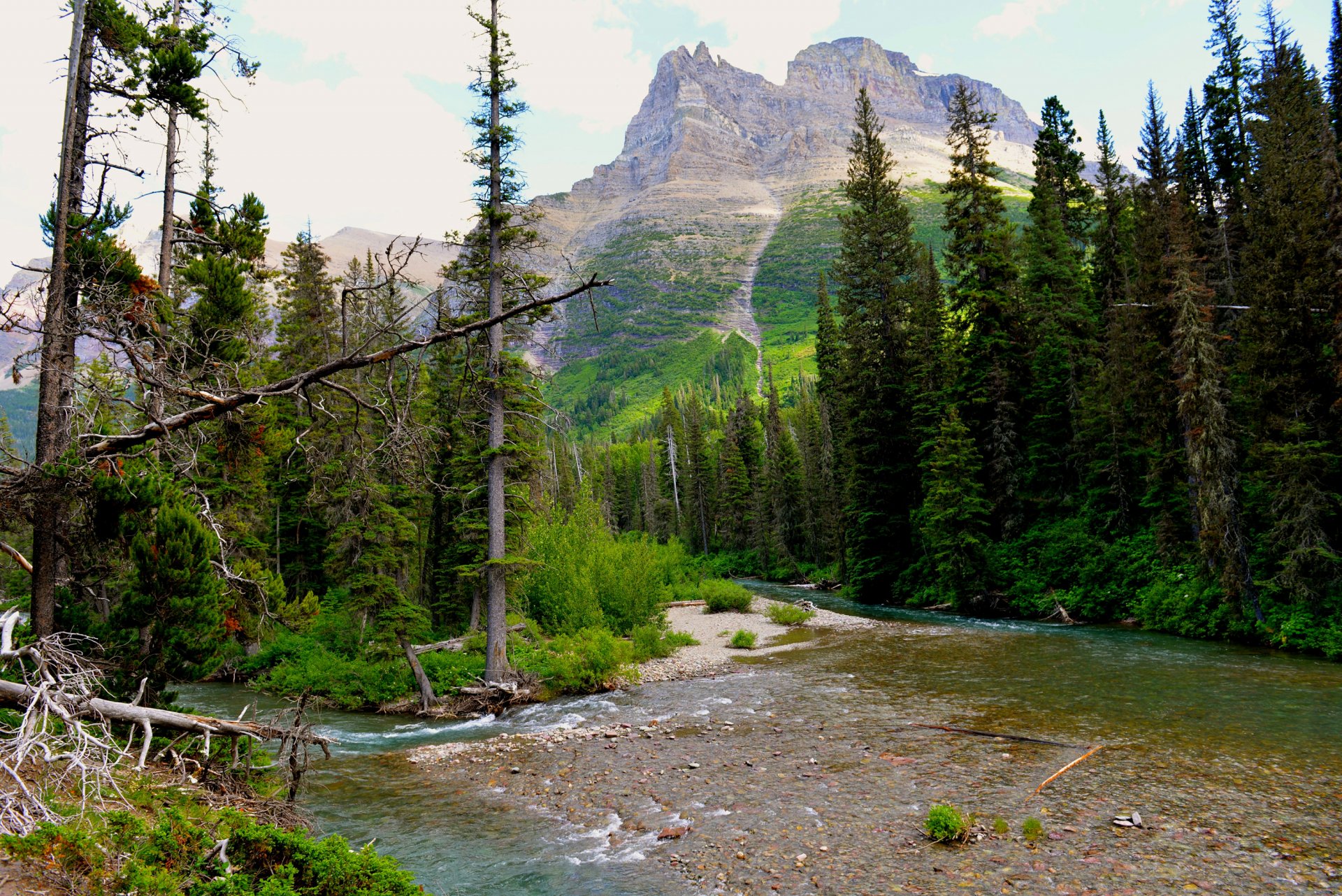 glacier national park montana stati uniti cielo montagna alberi fiume